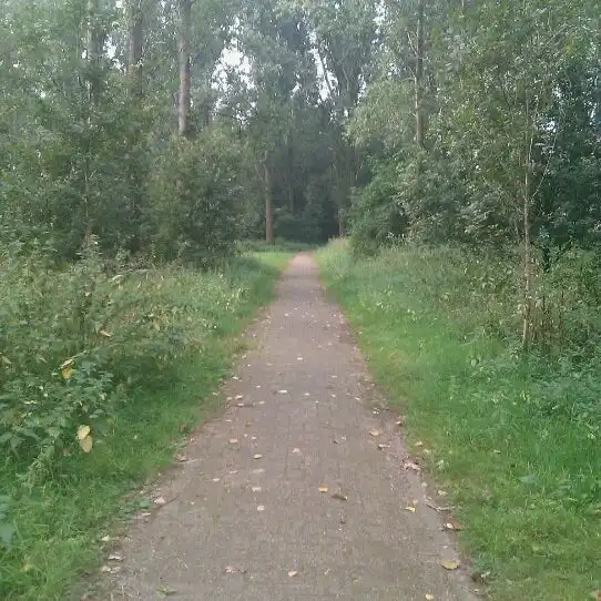 image-8