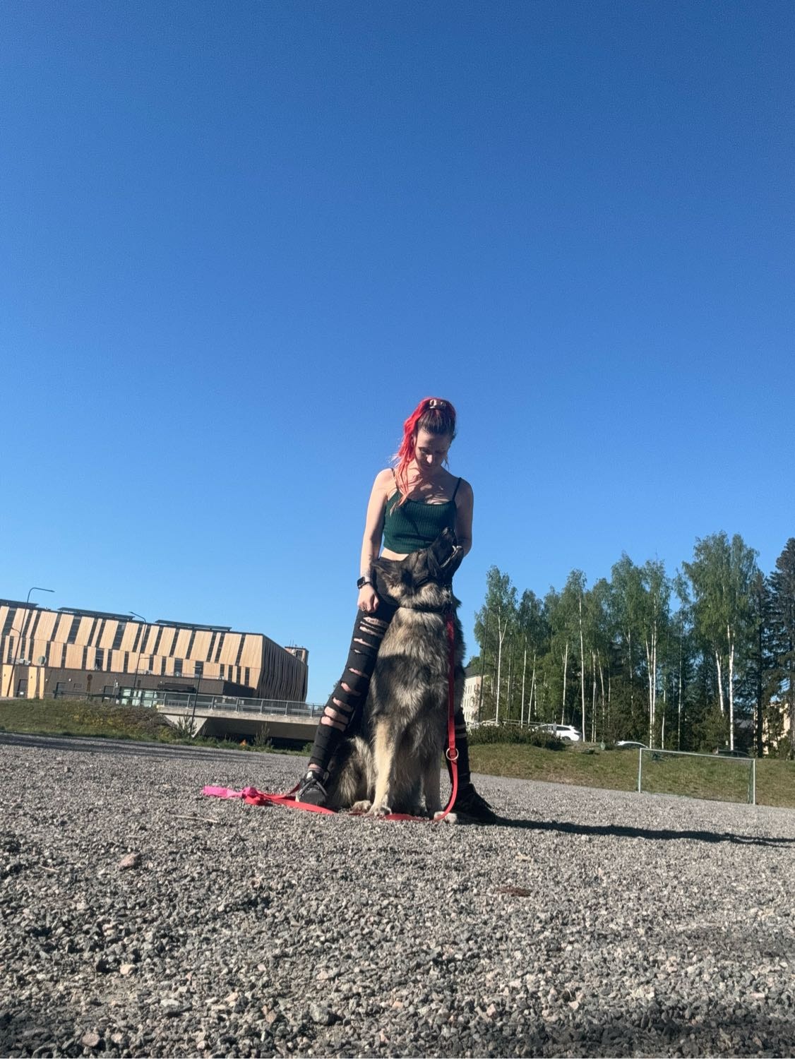 image-7
