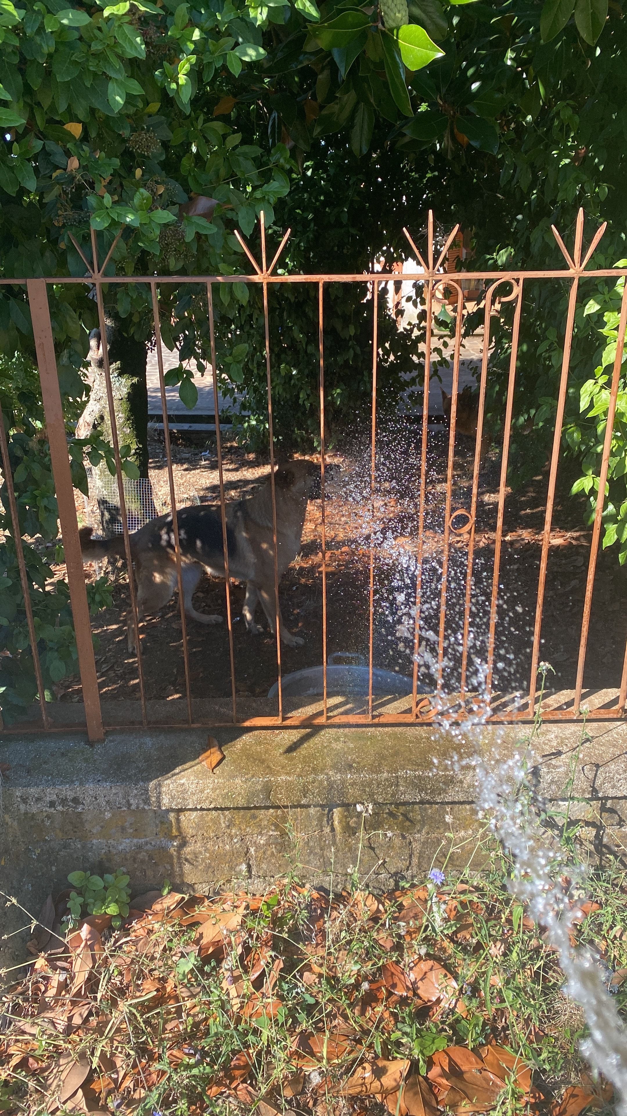image-11