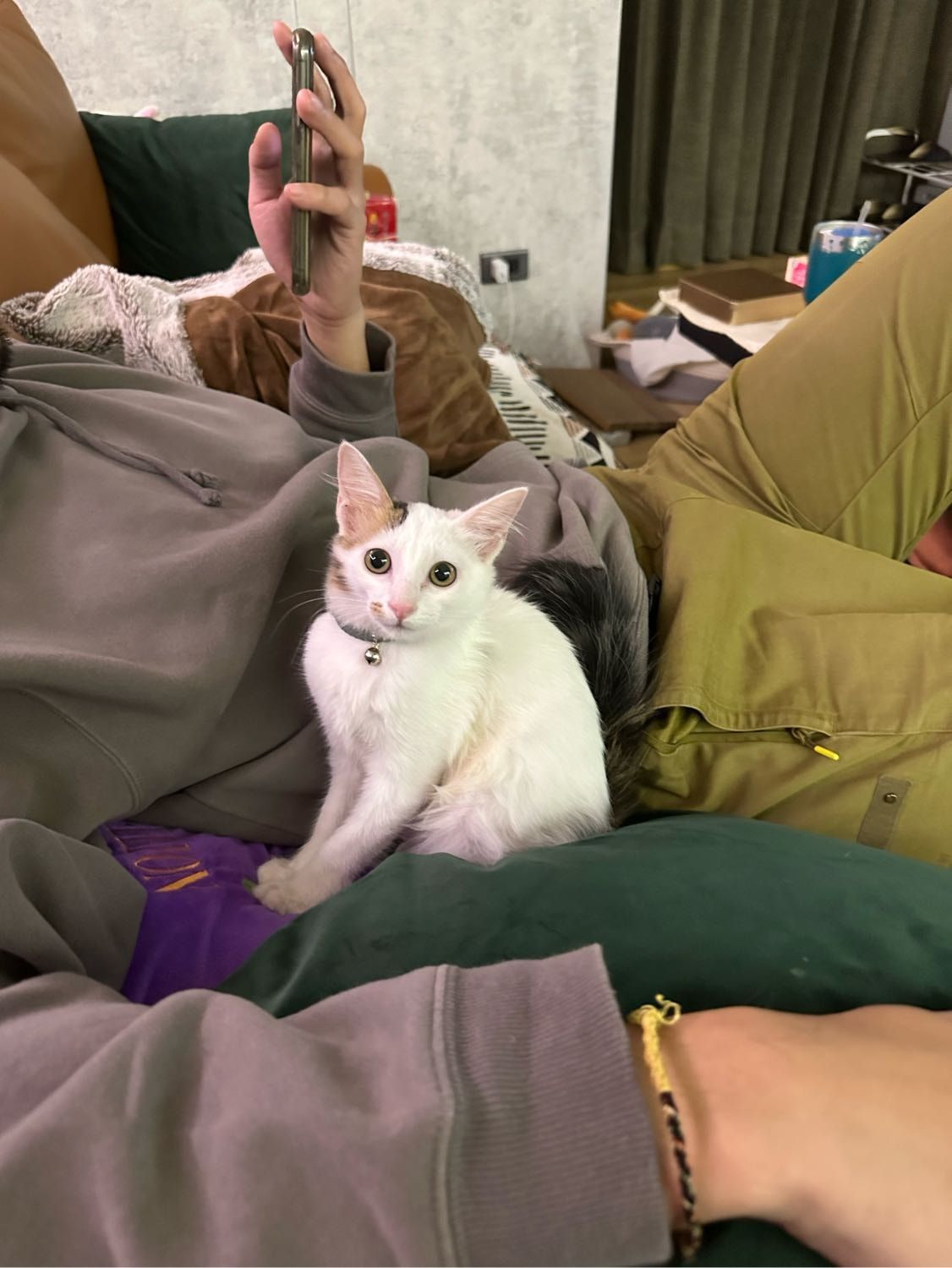 image-6