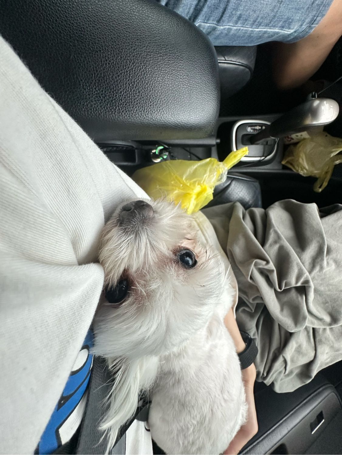 image-7