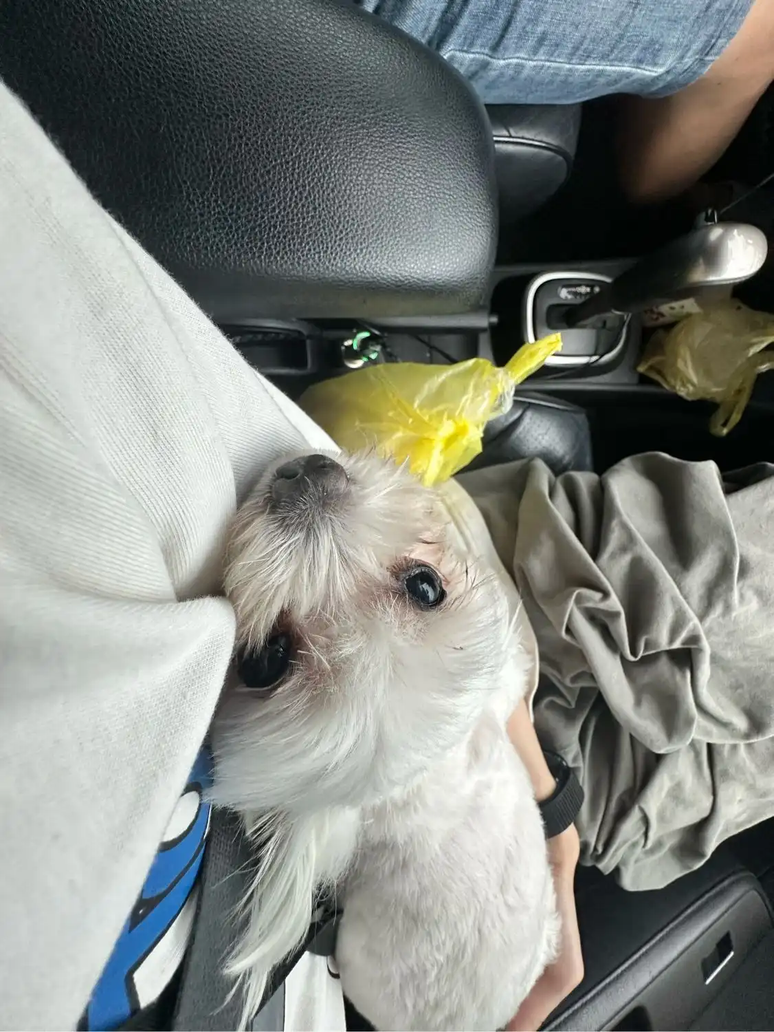 image-7