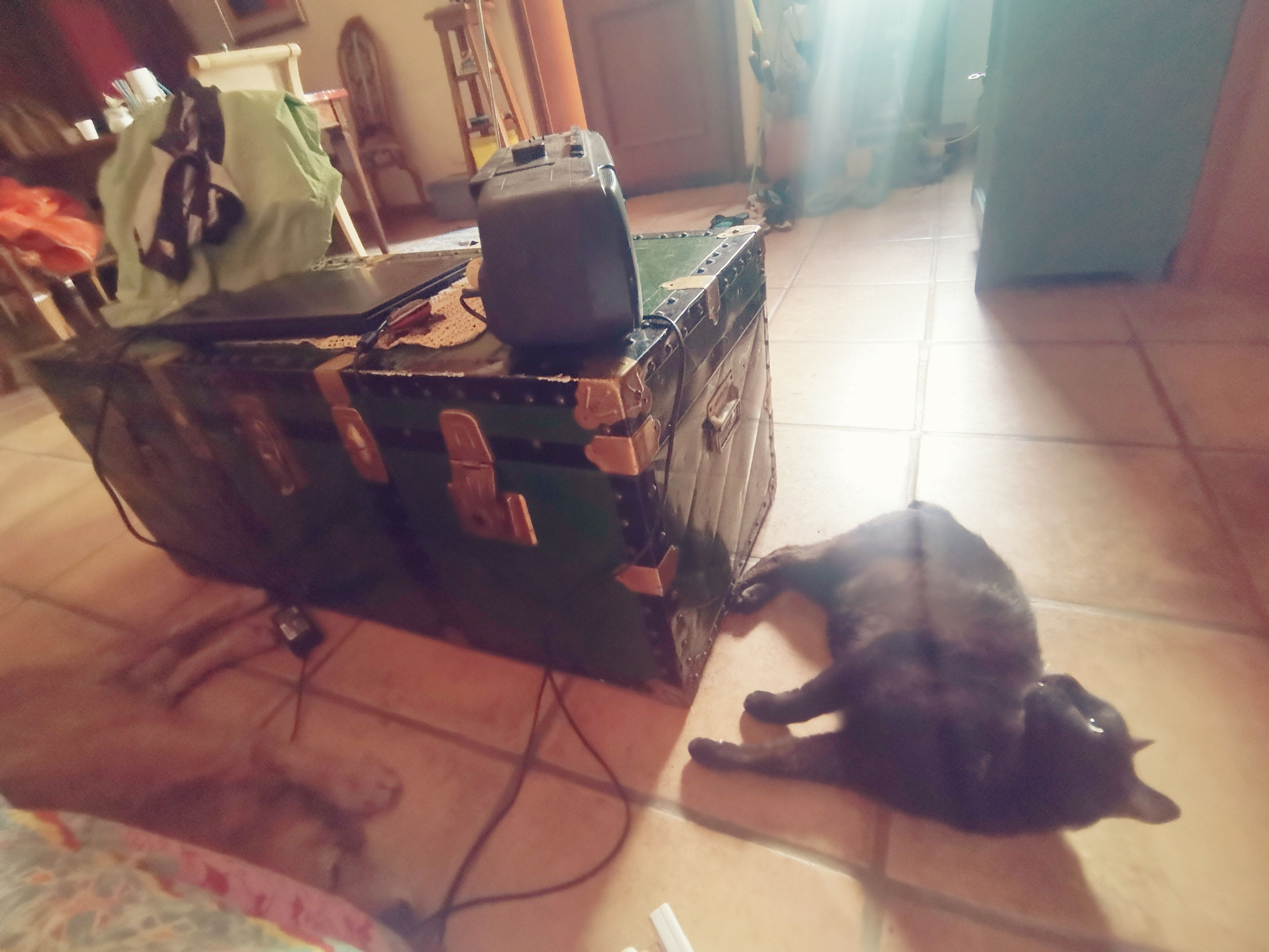 image-7