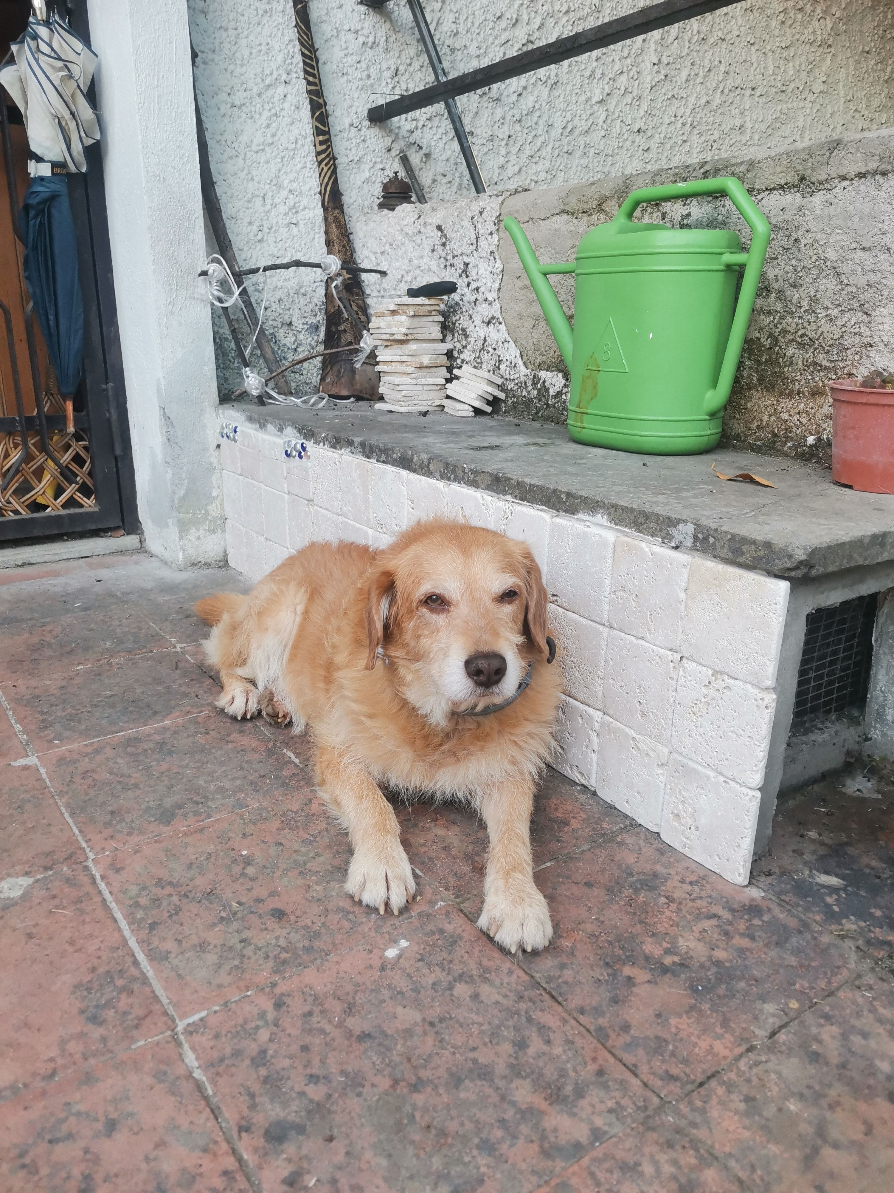 image-5