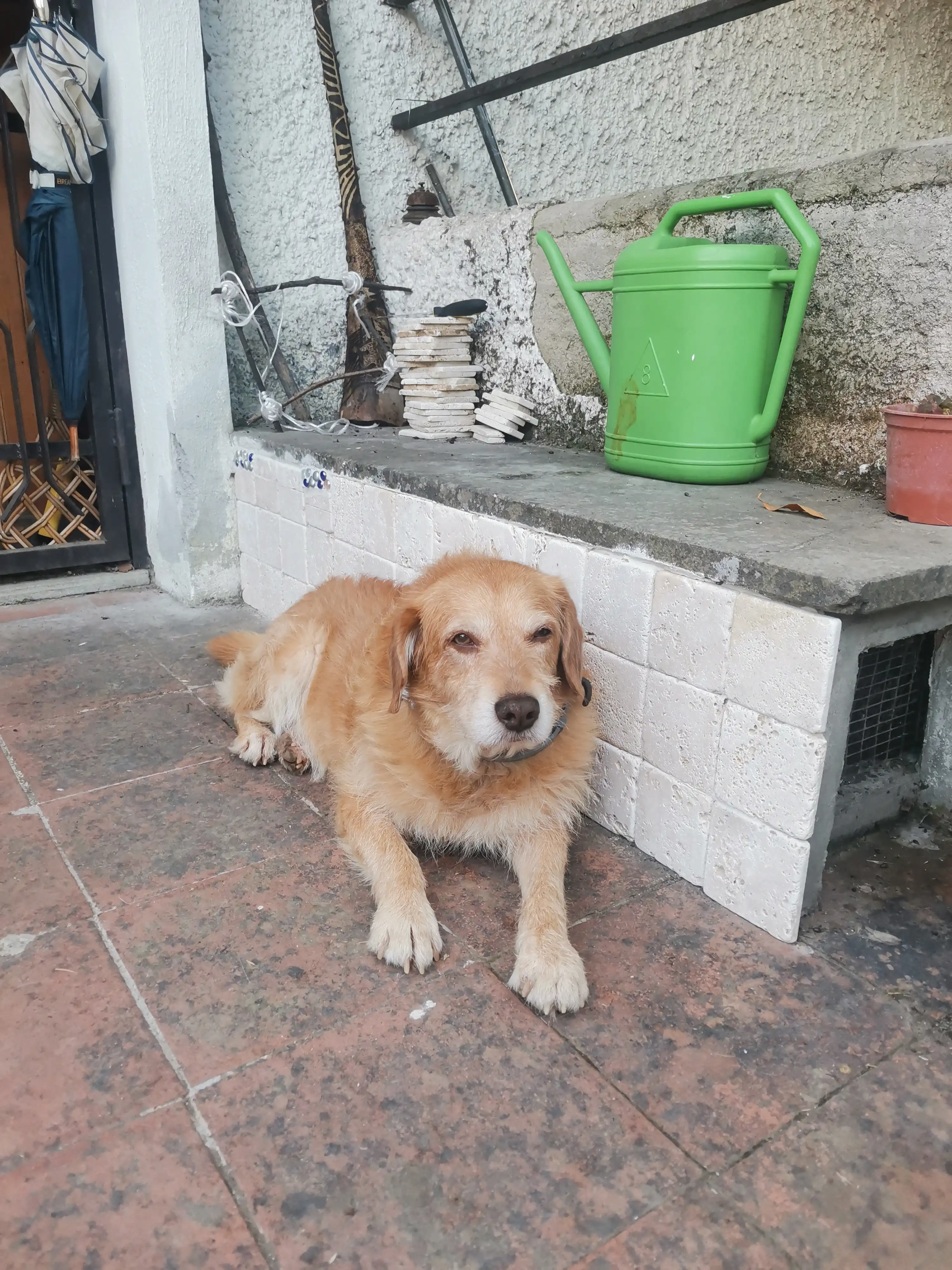 image-5