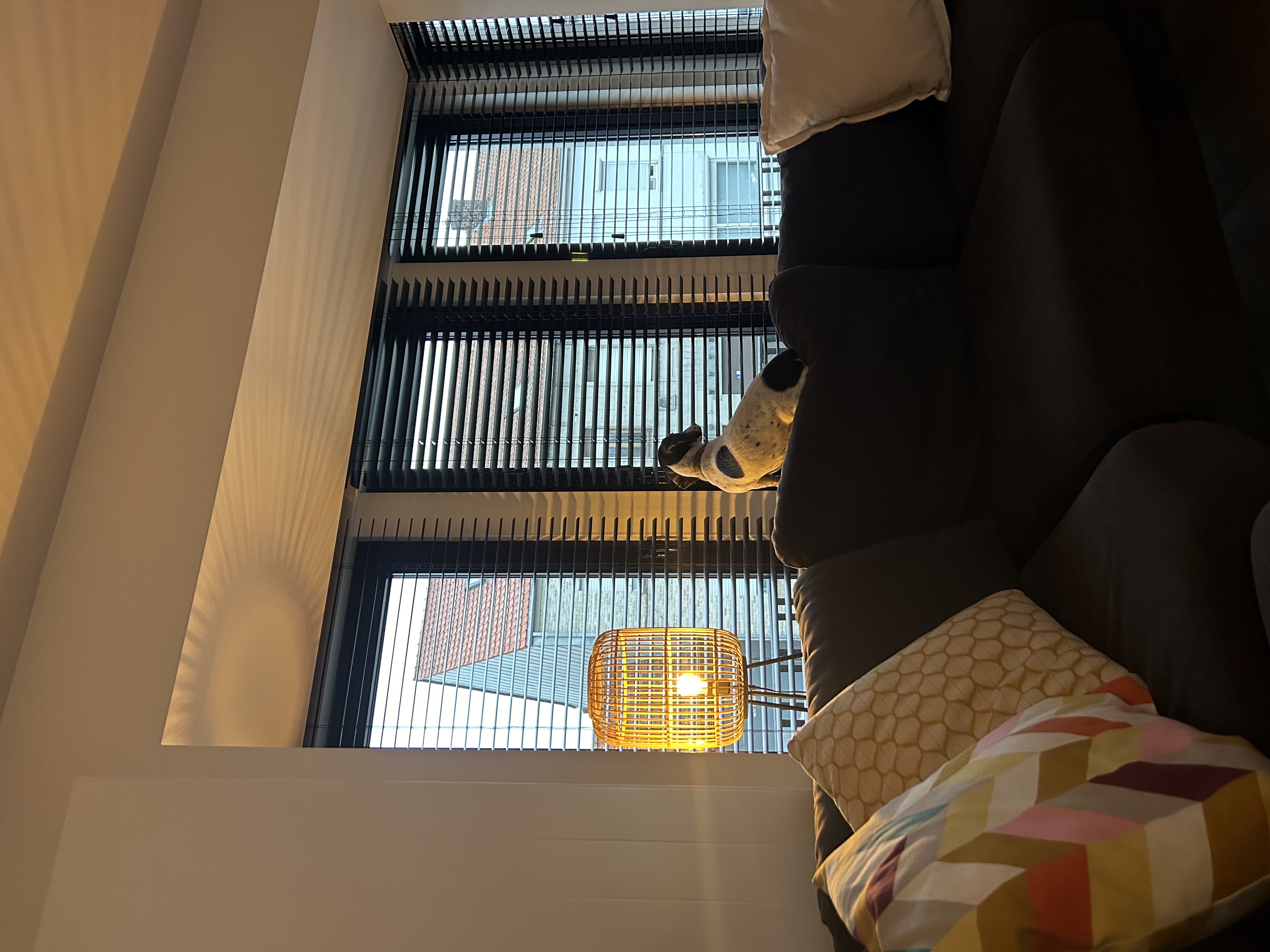 image-13