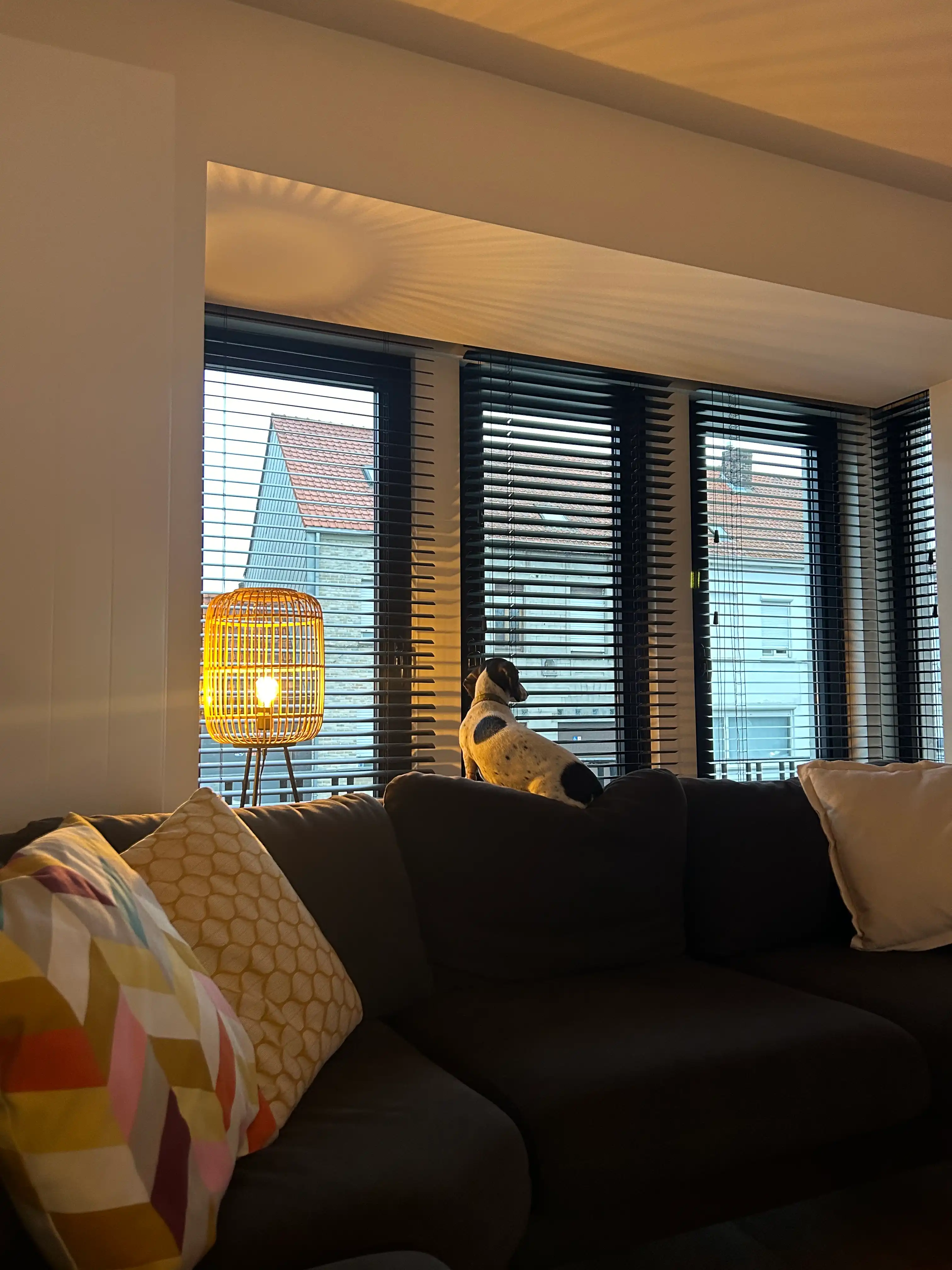 image-13