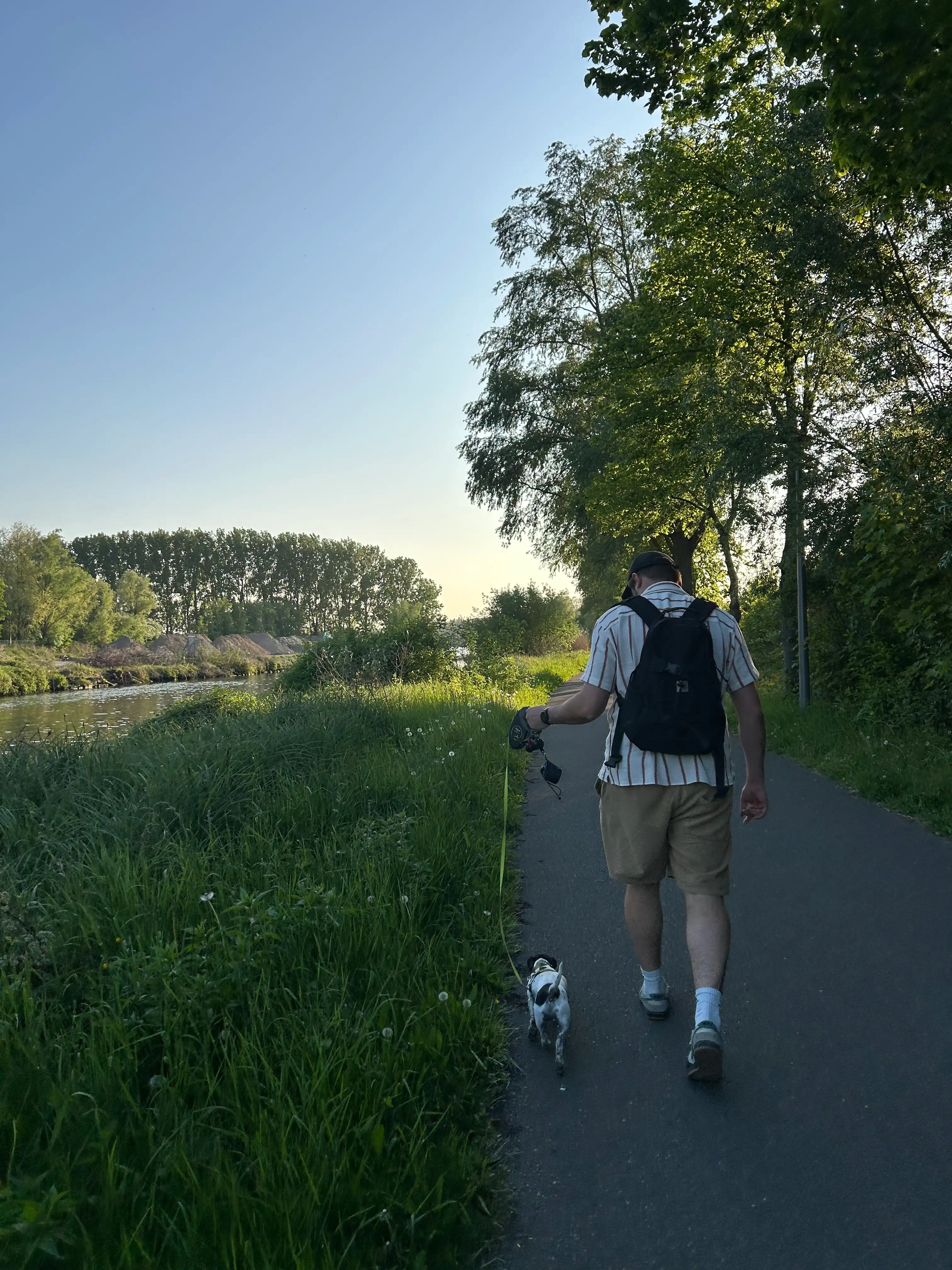 image-8