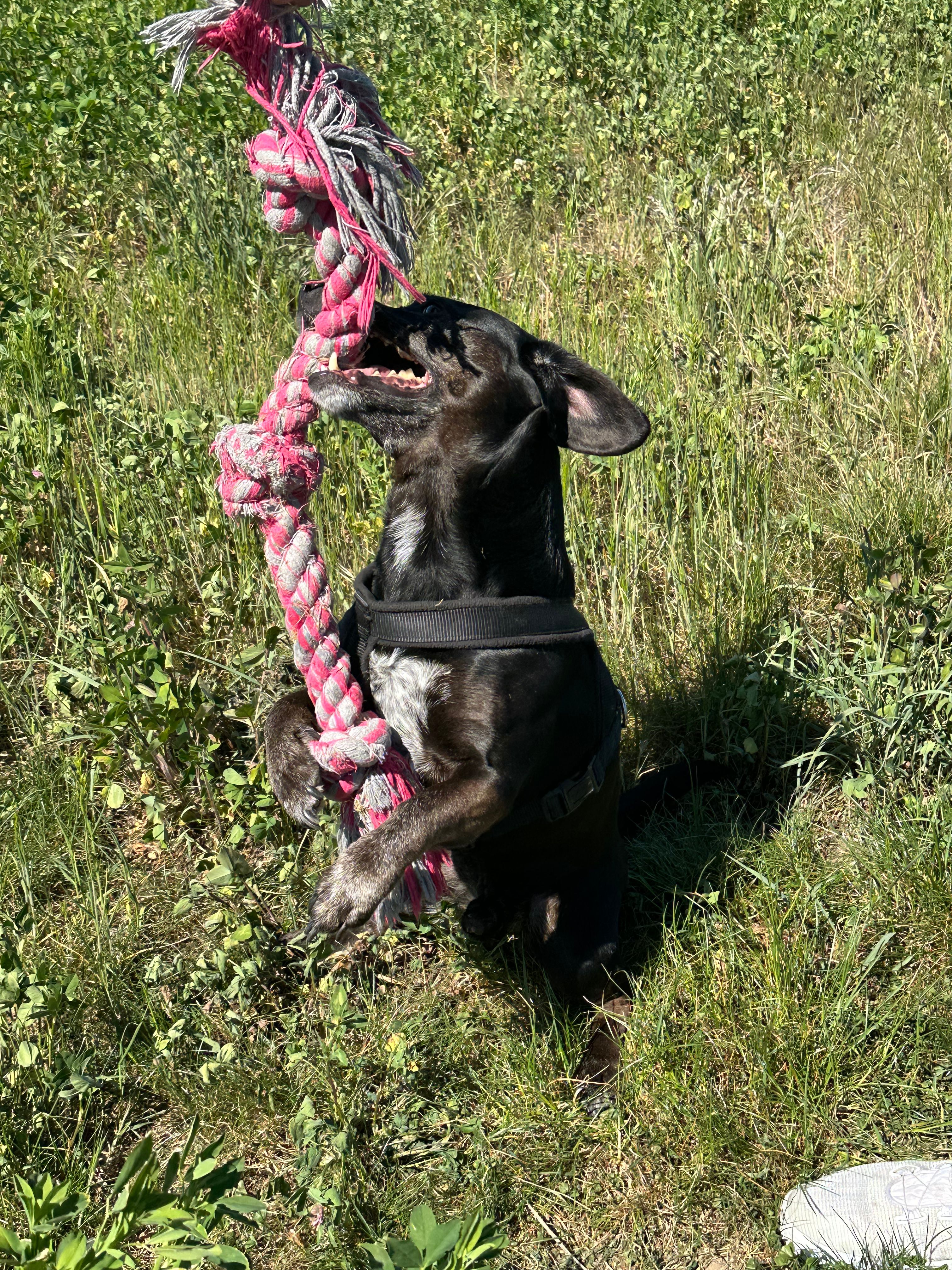 image-7