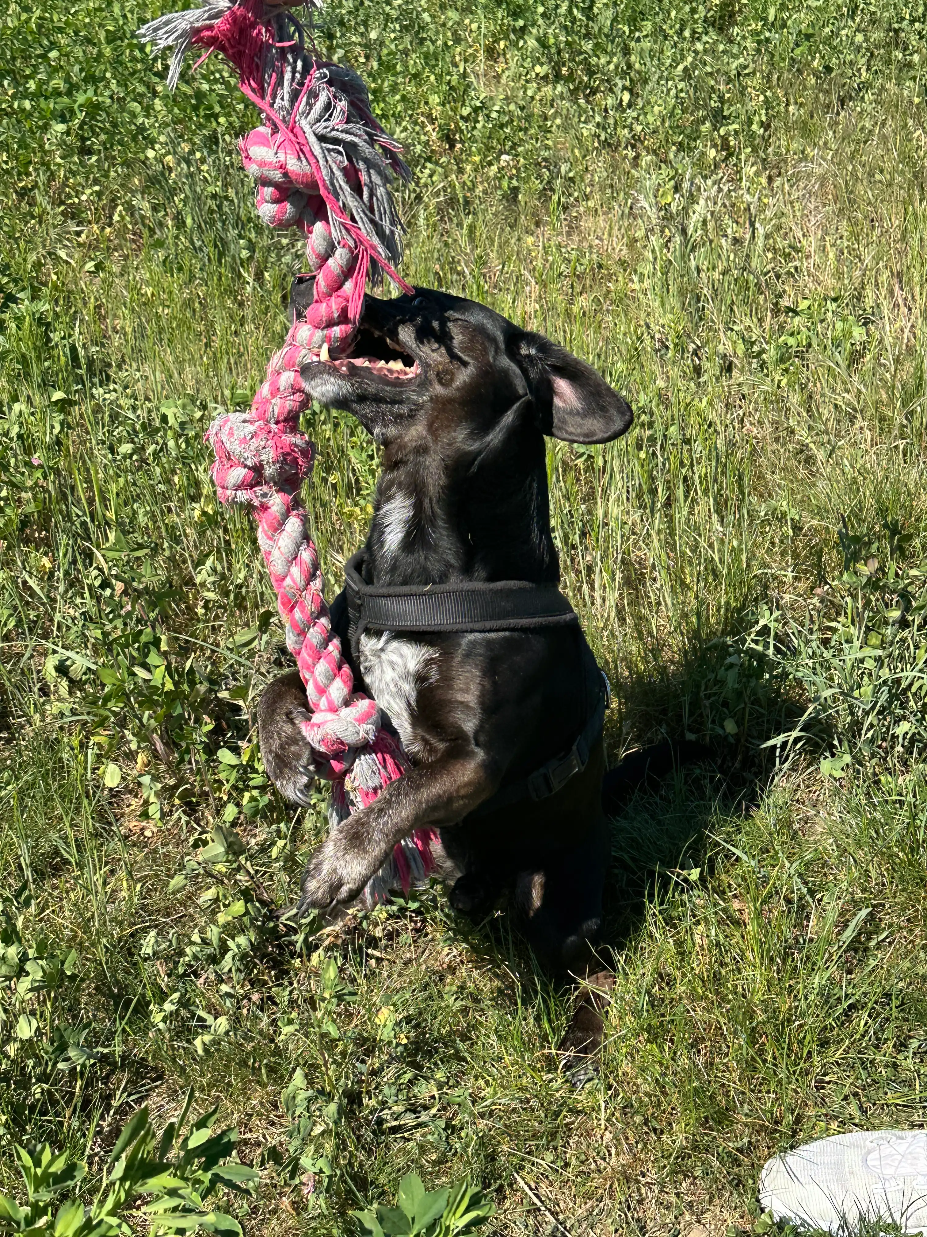 image-7