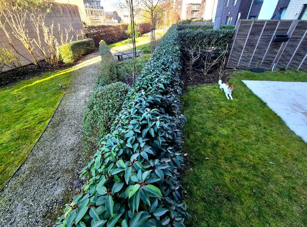 image-7