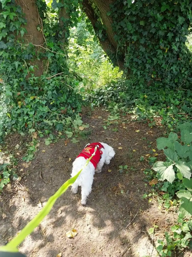 image-9