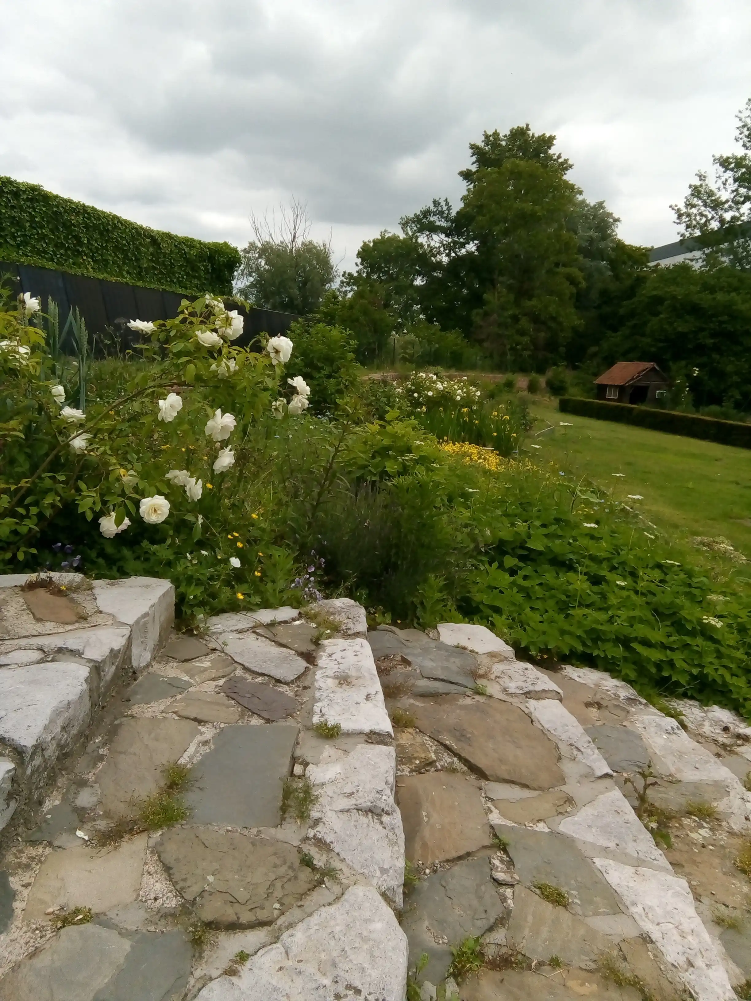 image-11