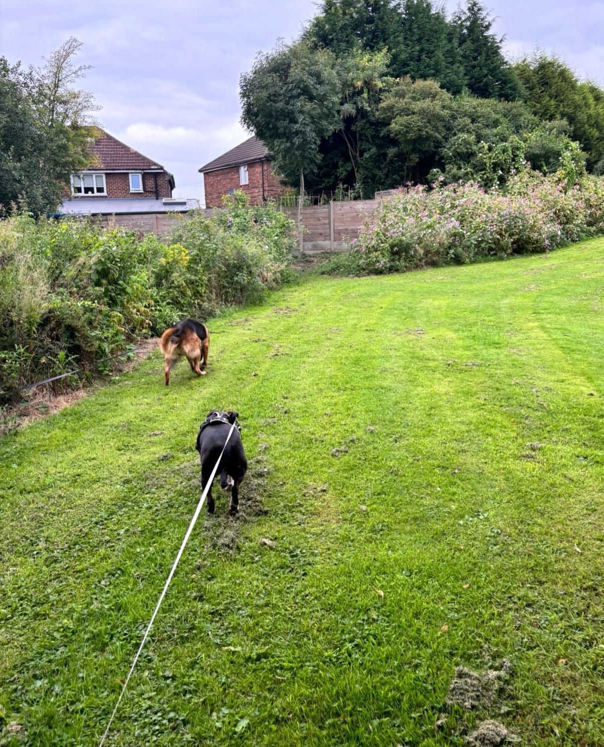 image-25