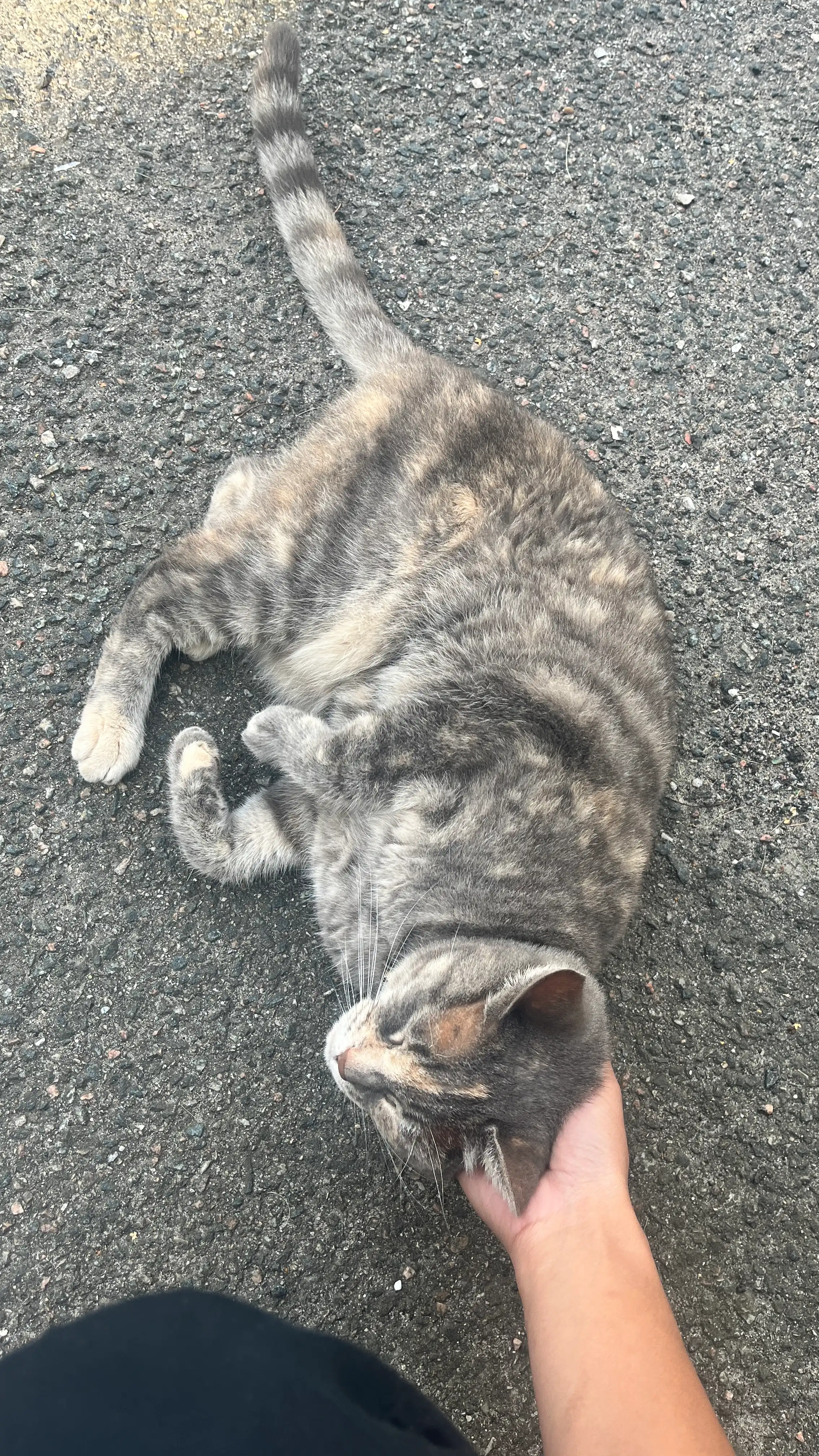 image-8