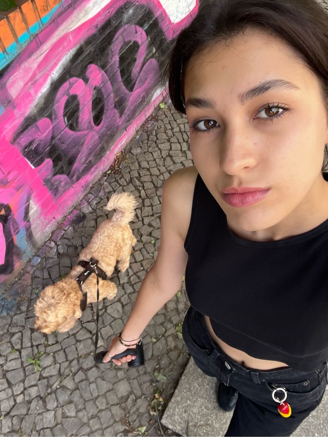 image-6