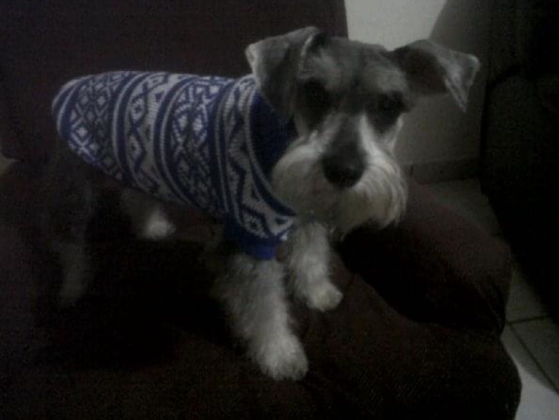 image-8
