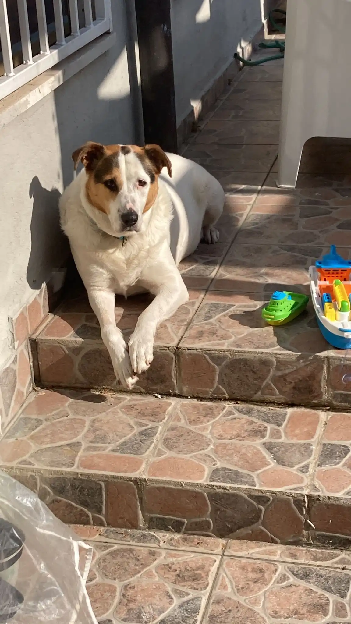 image-13