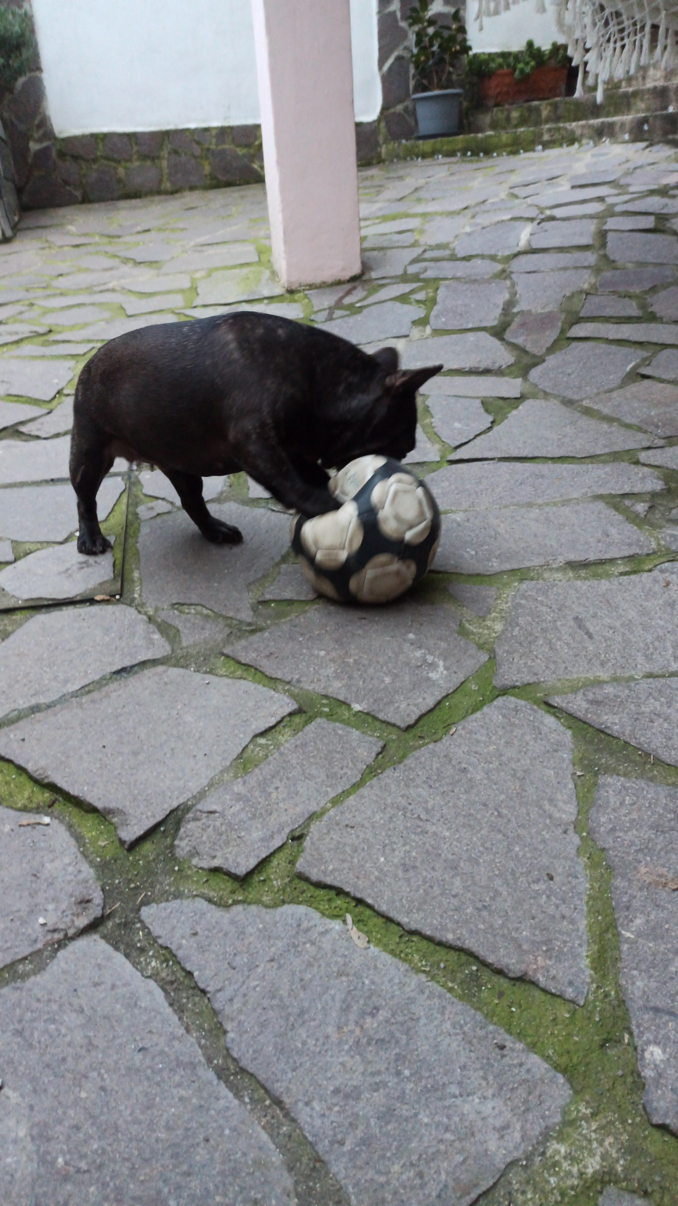 image-9
