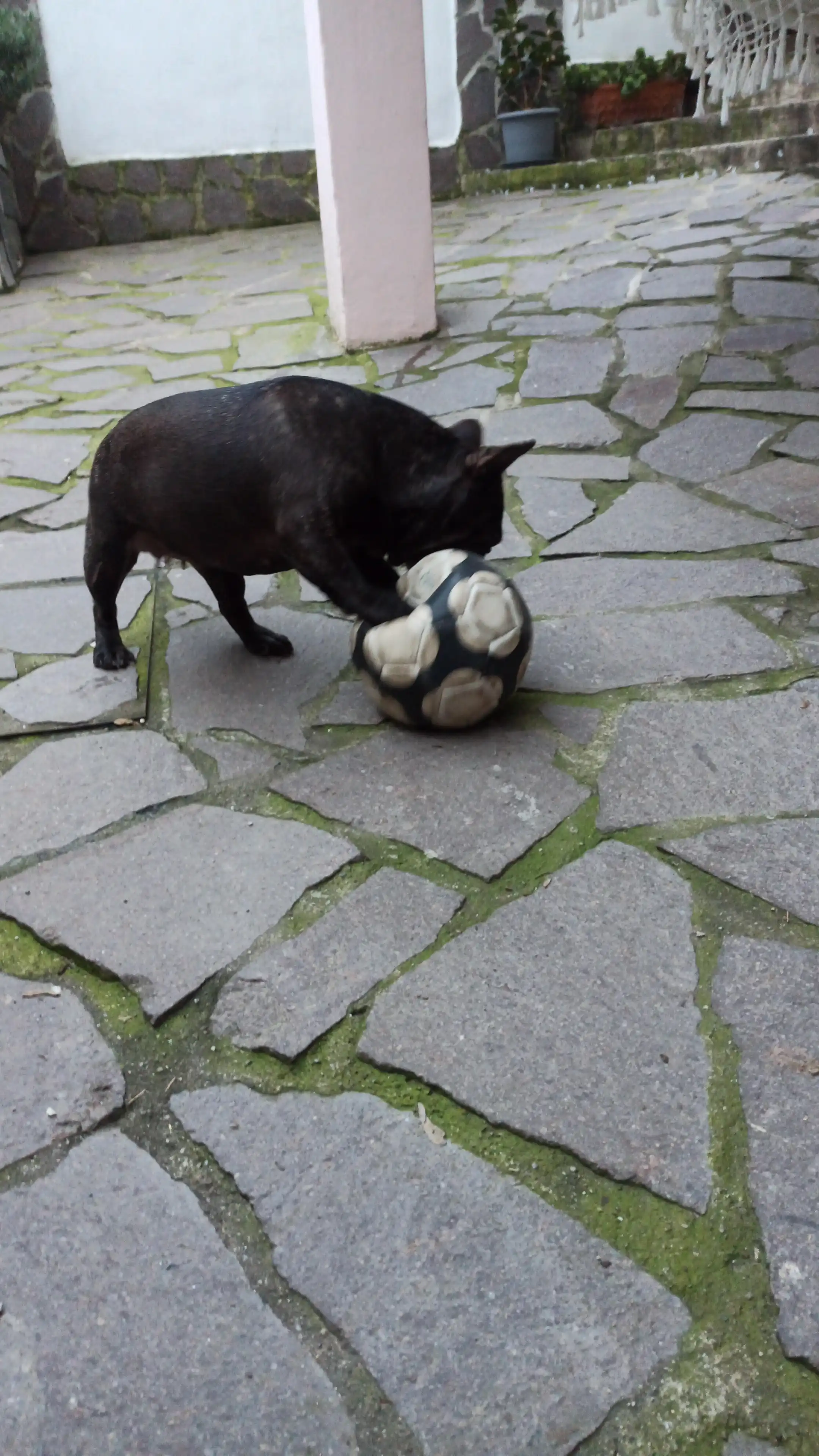 image-9