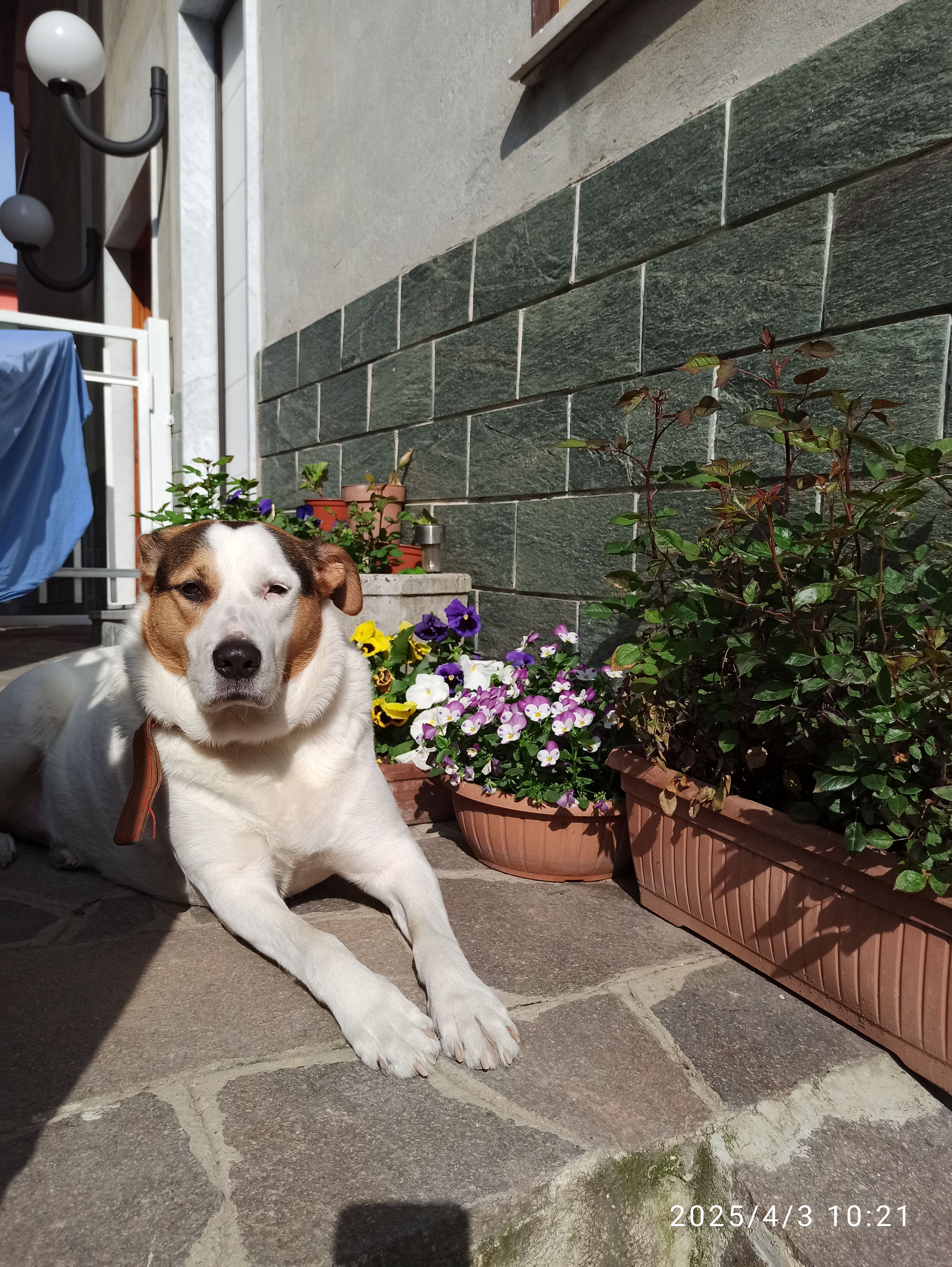 image-11