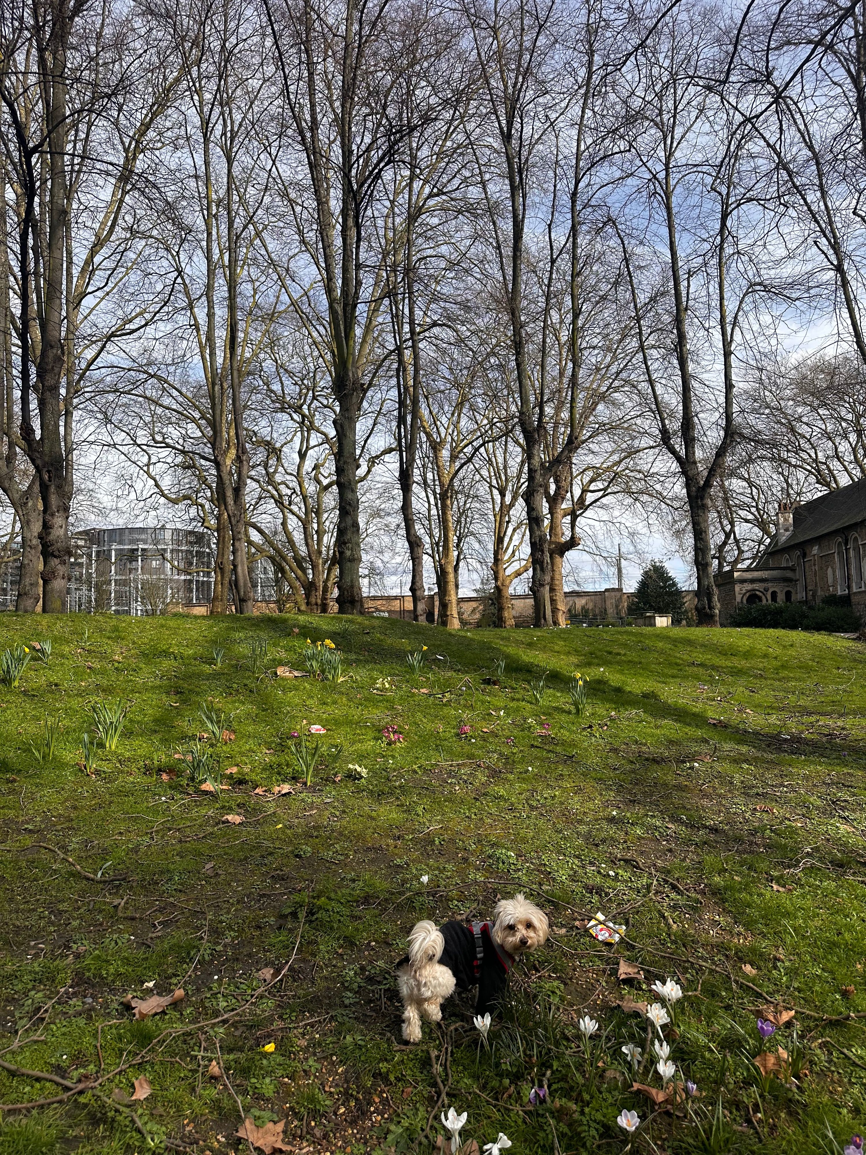 image-1