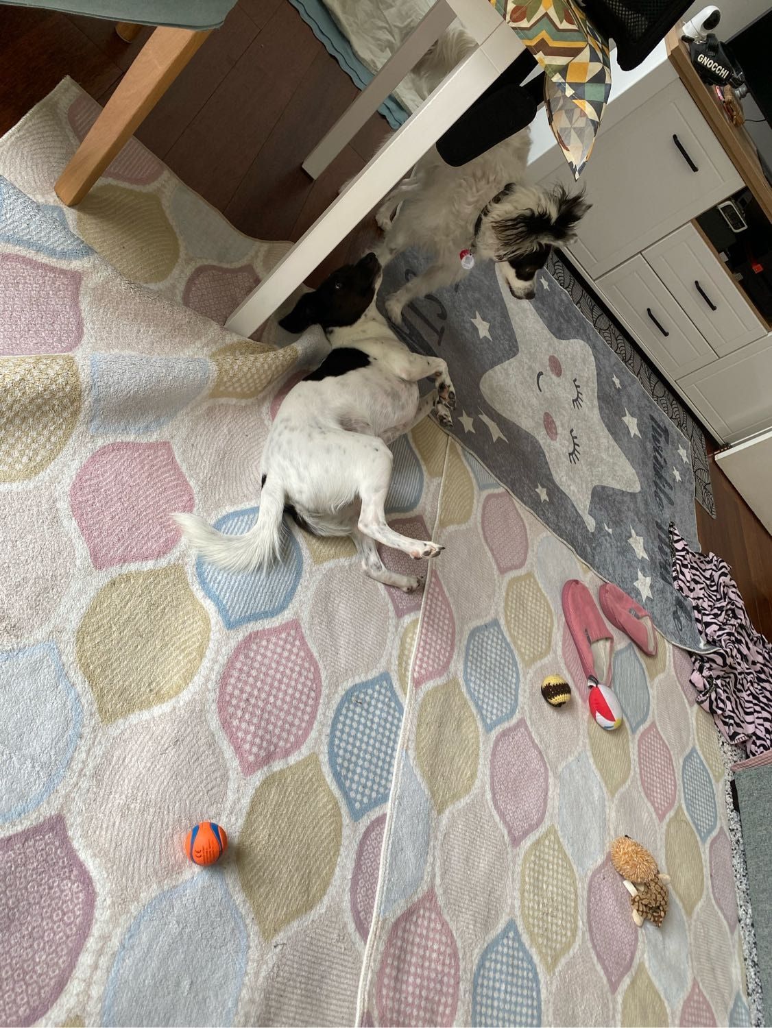 image-15