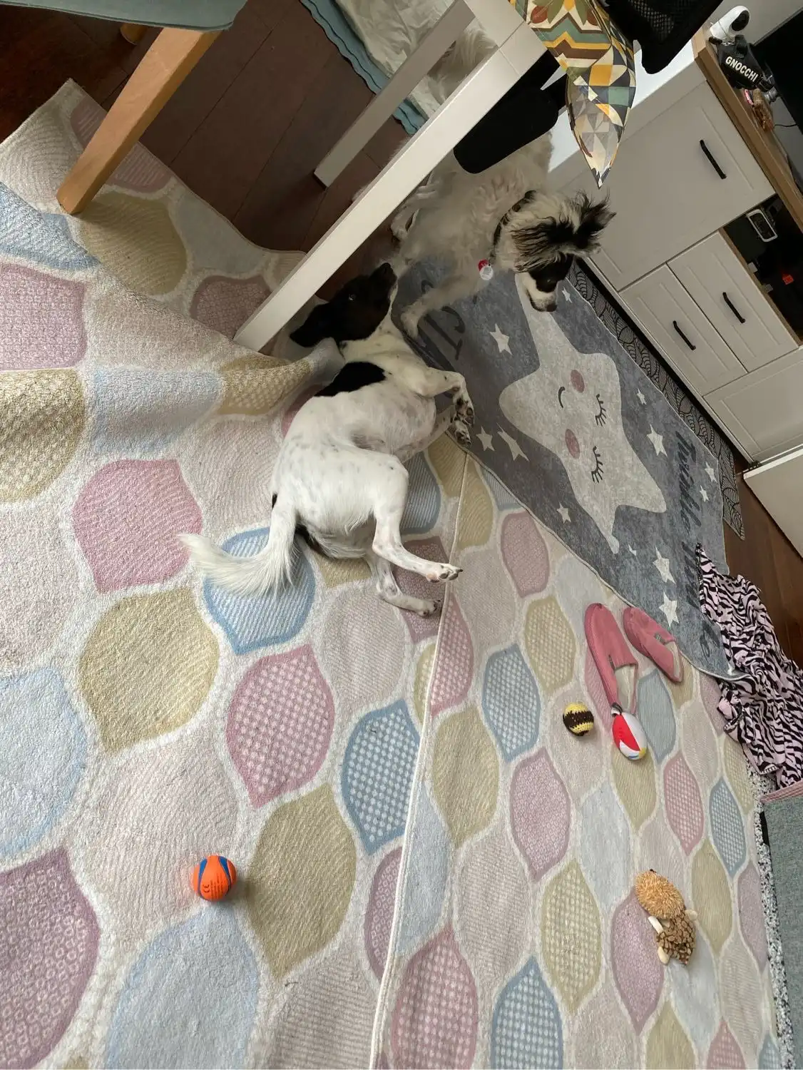 image-15