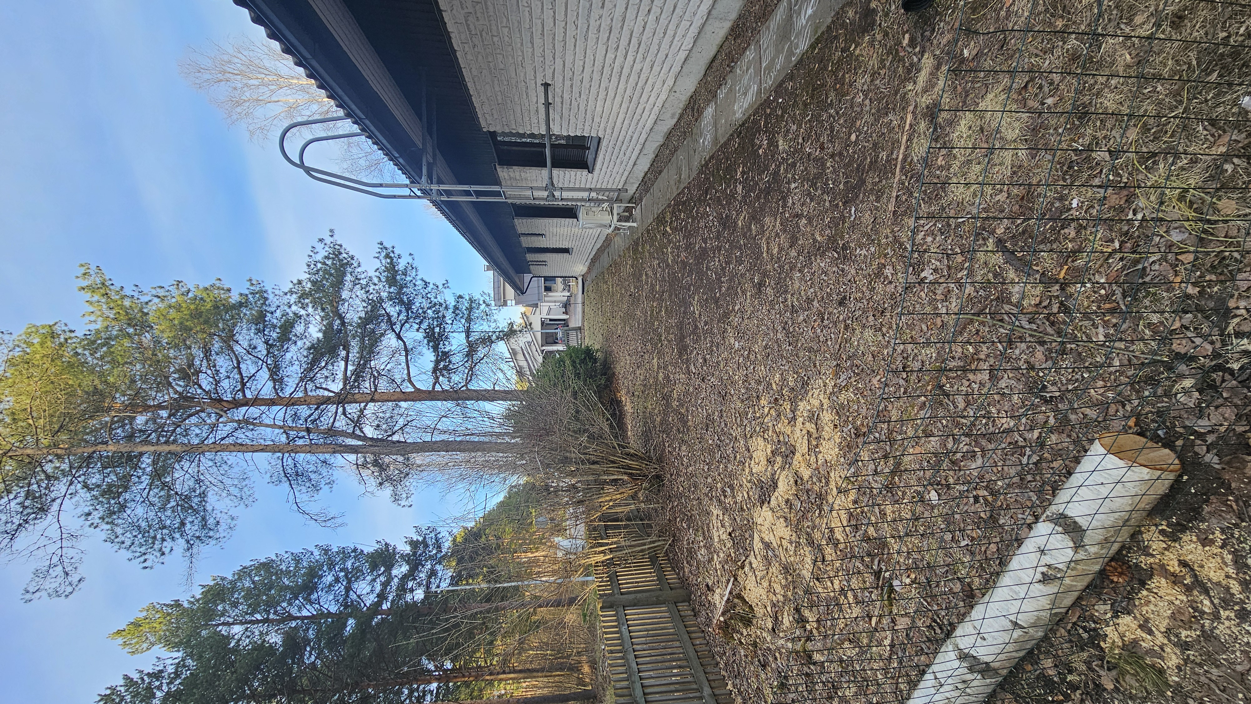 image-18