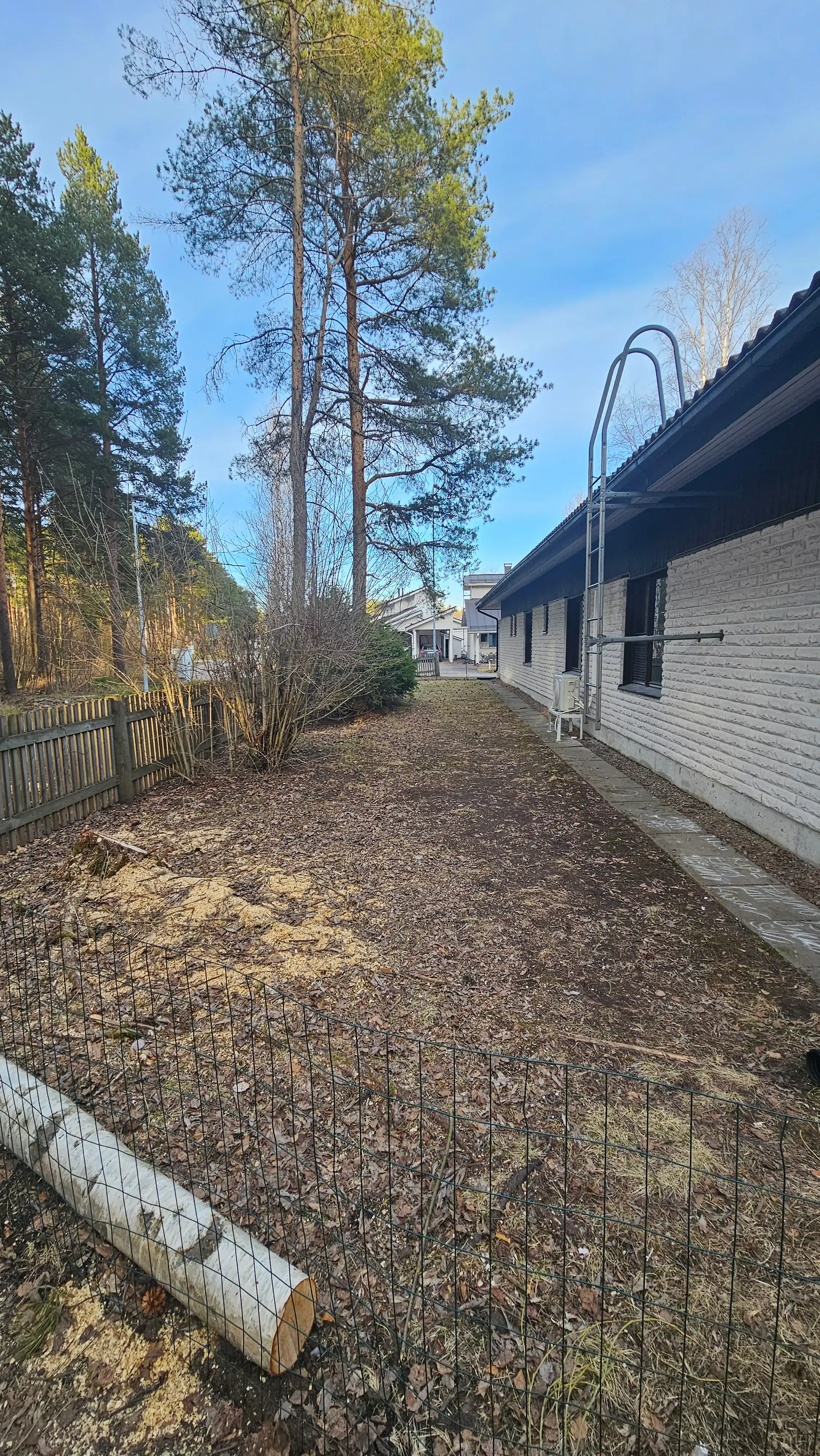 image-18