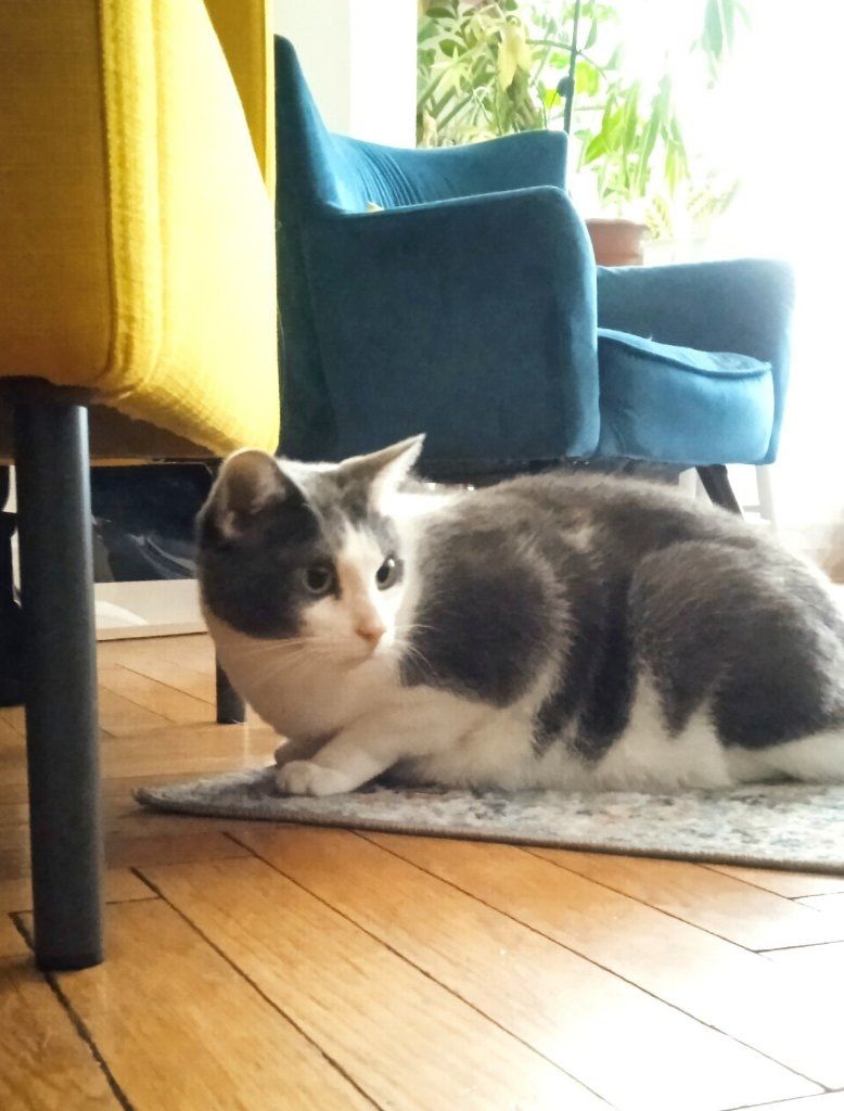 image-13