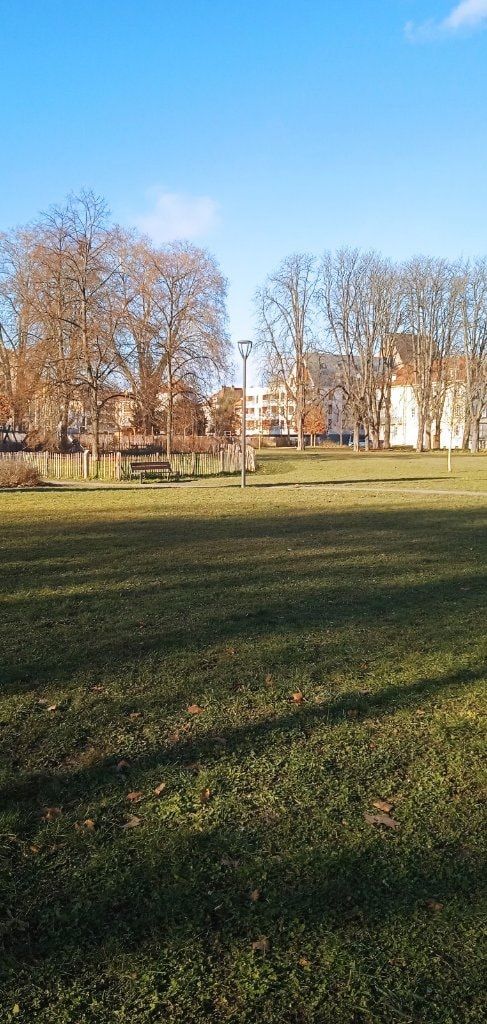 image-22