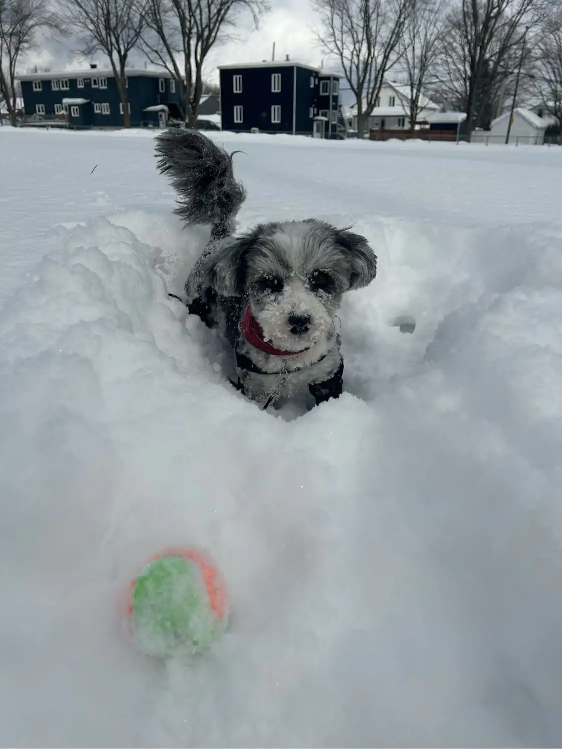 image-8