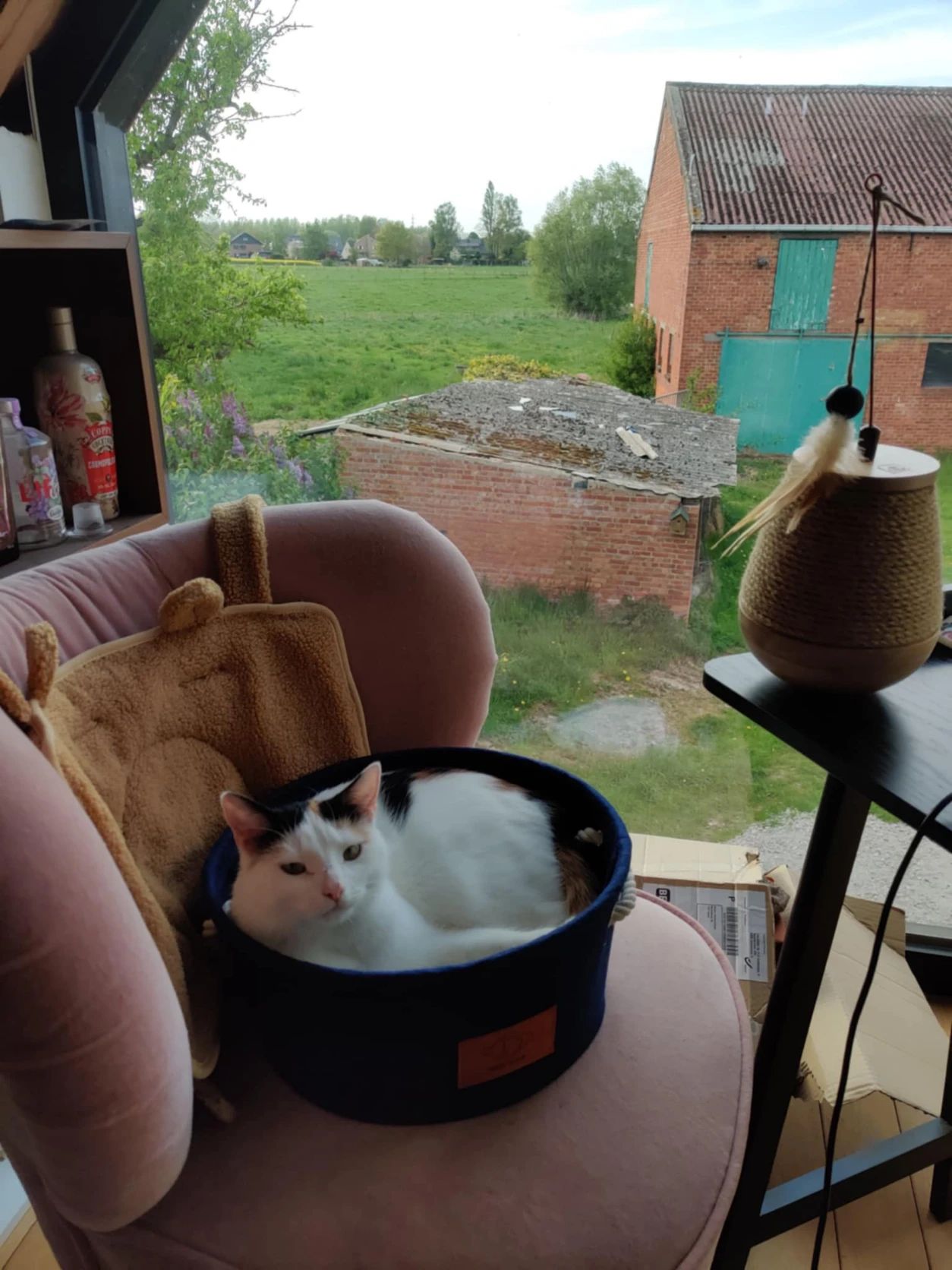 image-15
