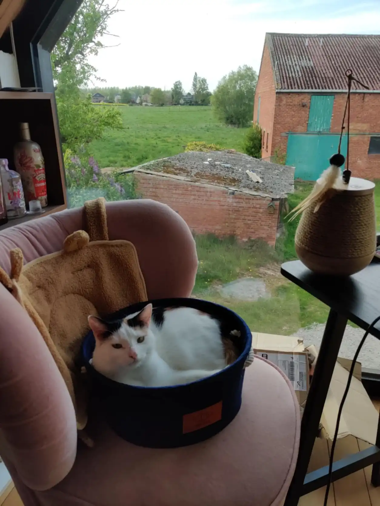 image-15