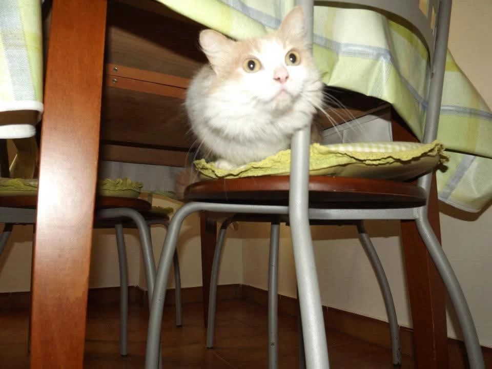 image-6