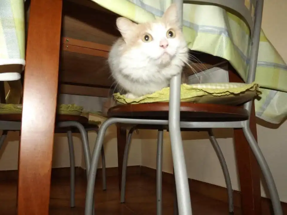 image-6