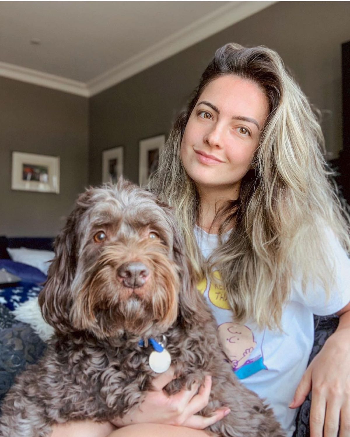 Professional Pet Home Pet Sitters Near Me Mariana Pet Sitter In Dublin