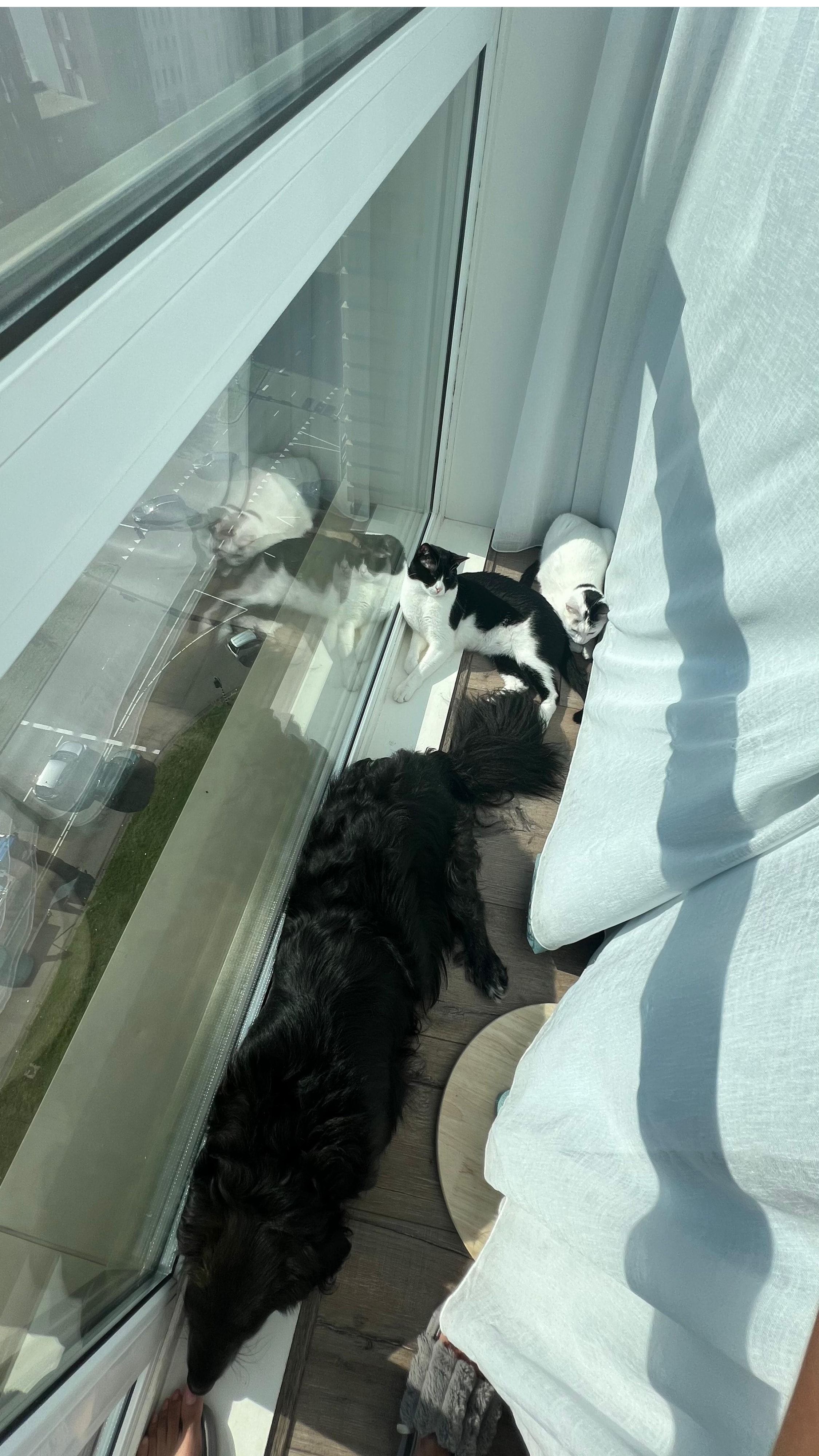image-6
