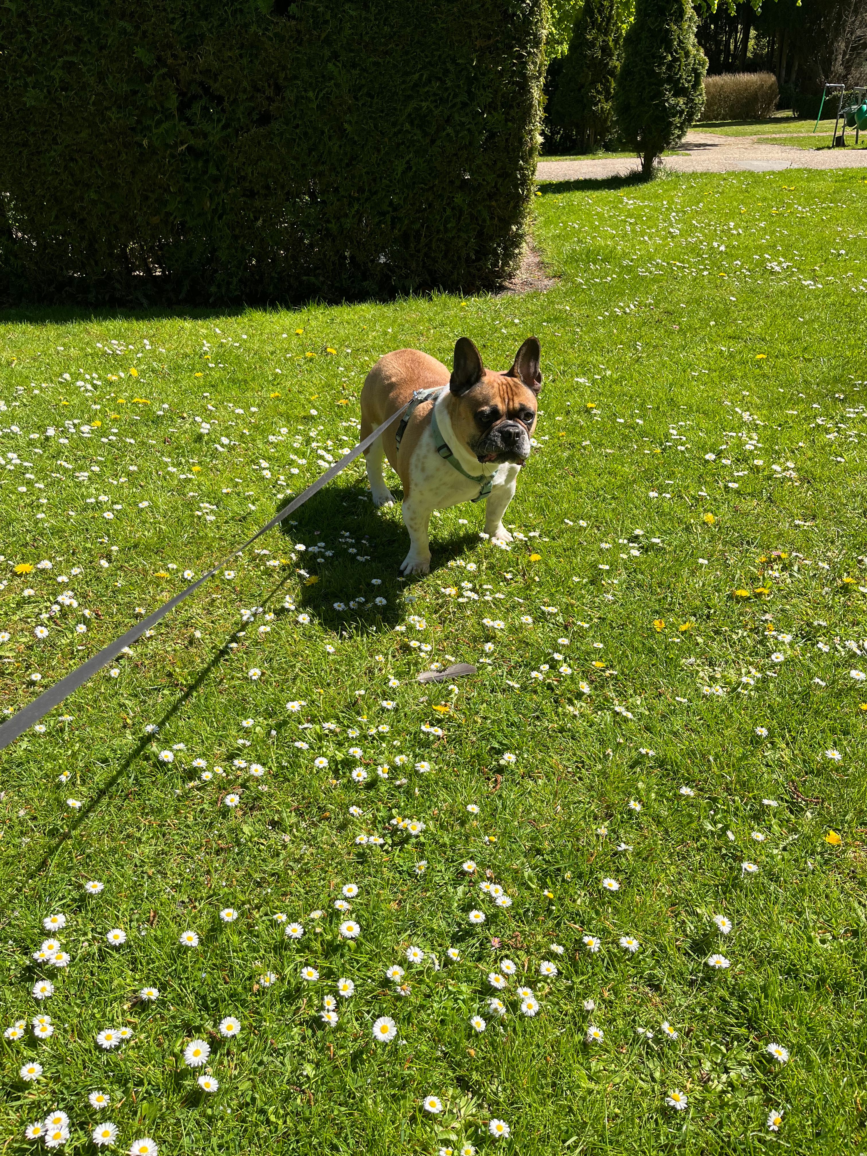 image-7
