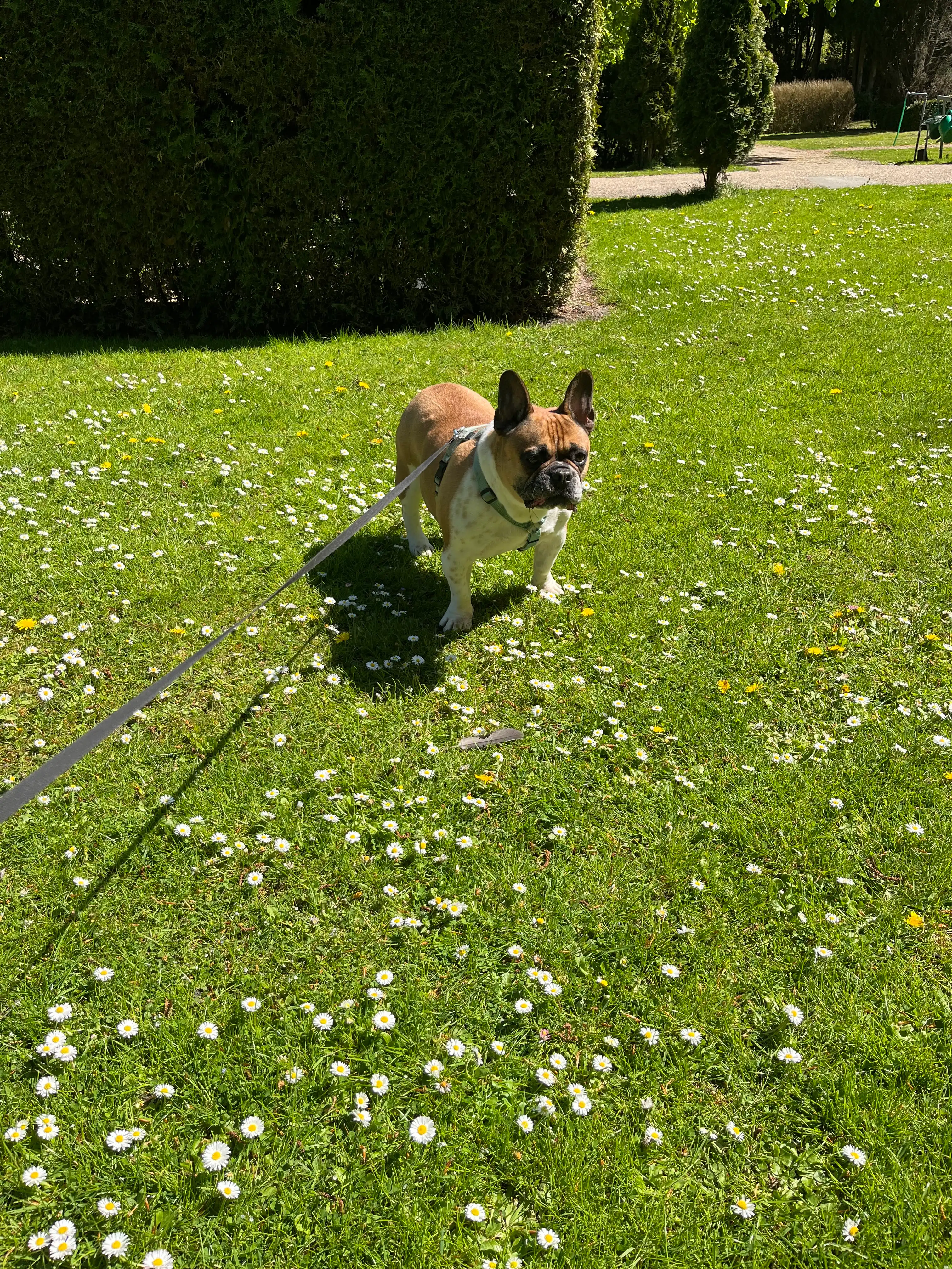 image-7