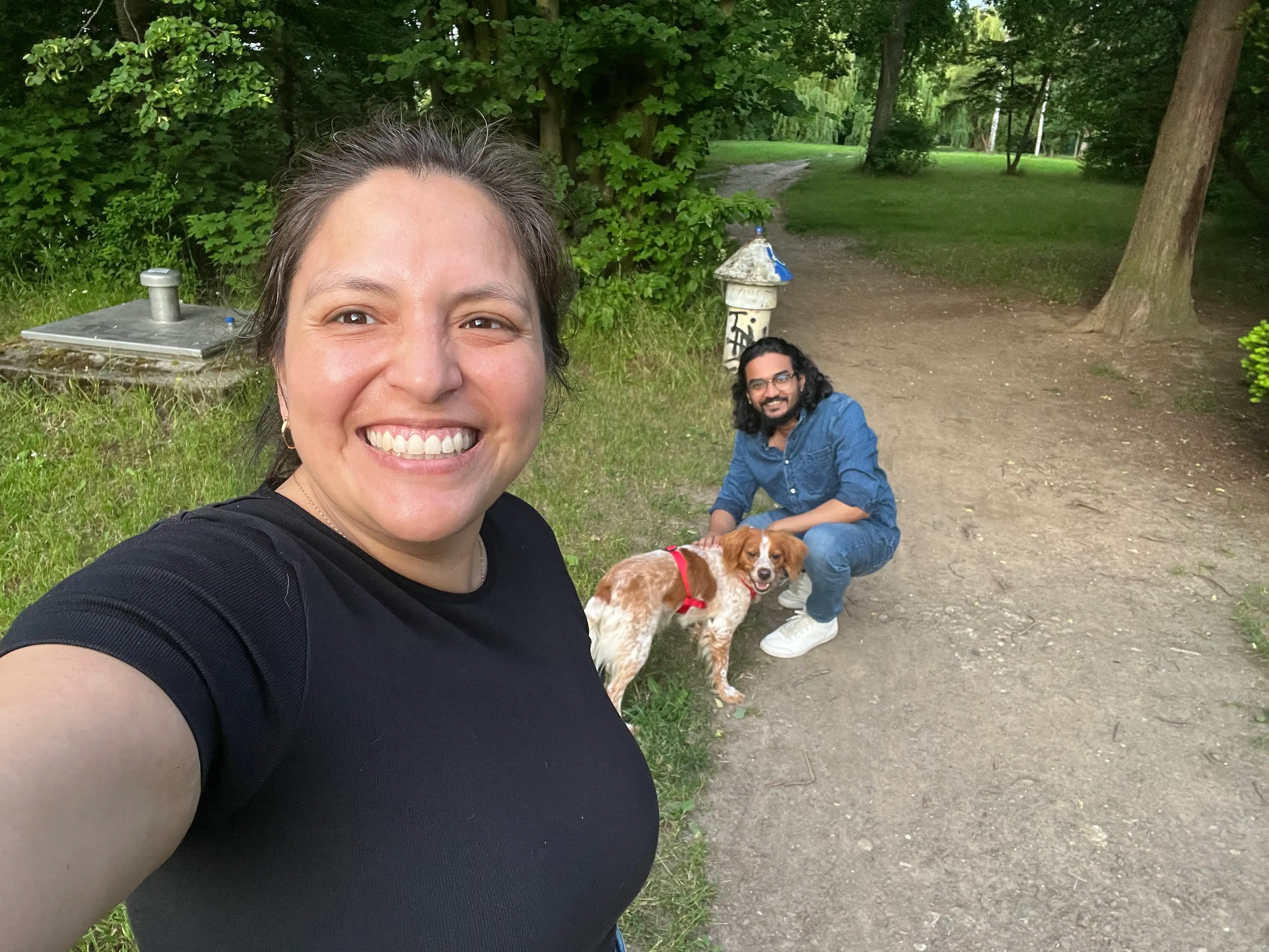 image-14
