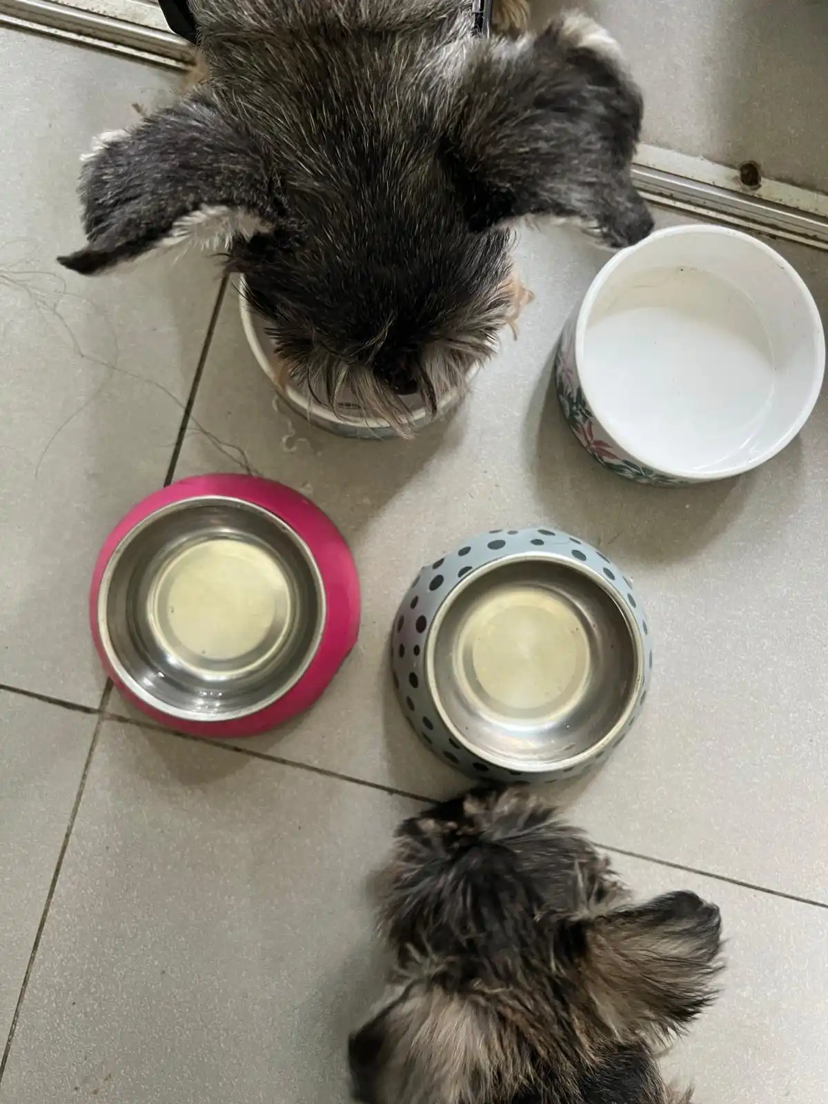 image-10