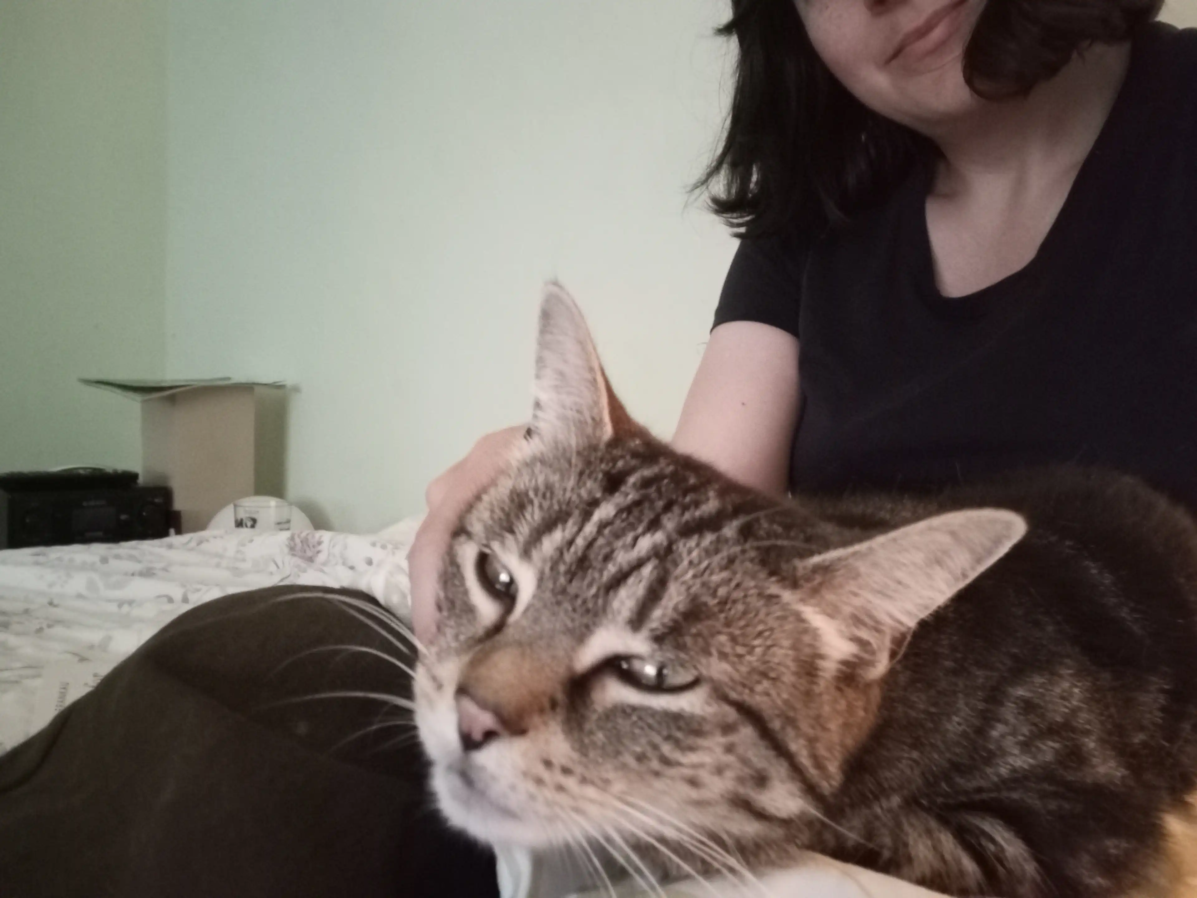 image-5