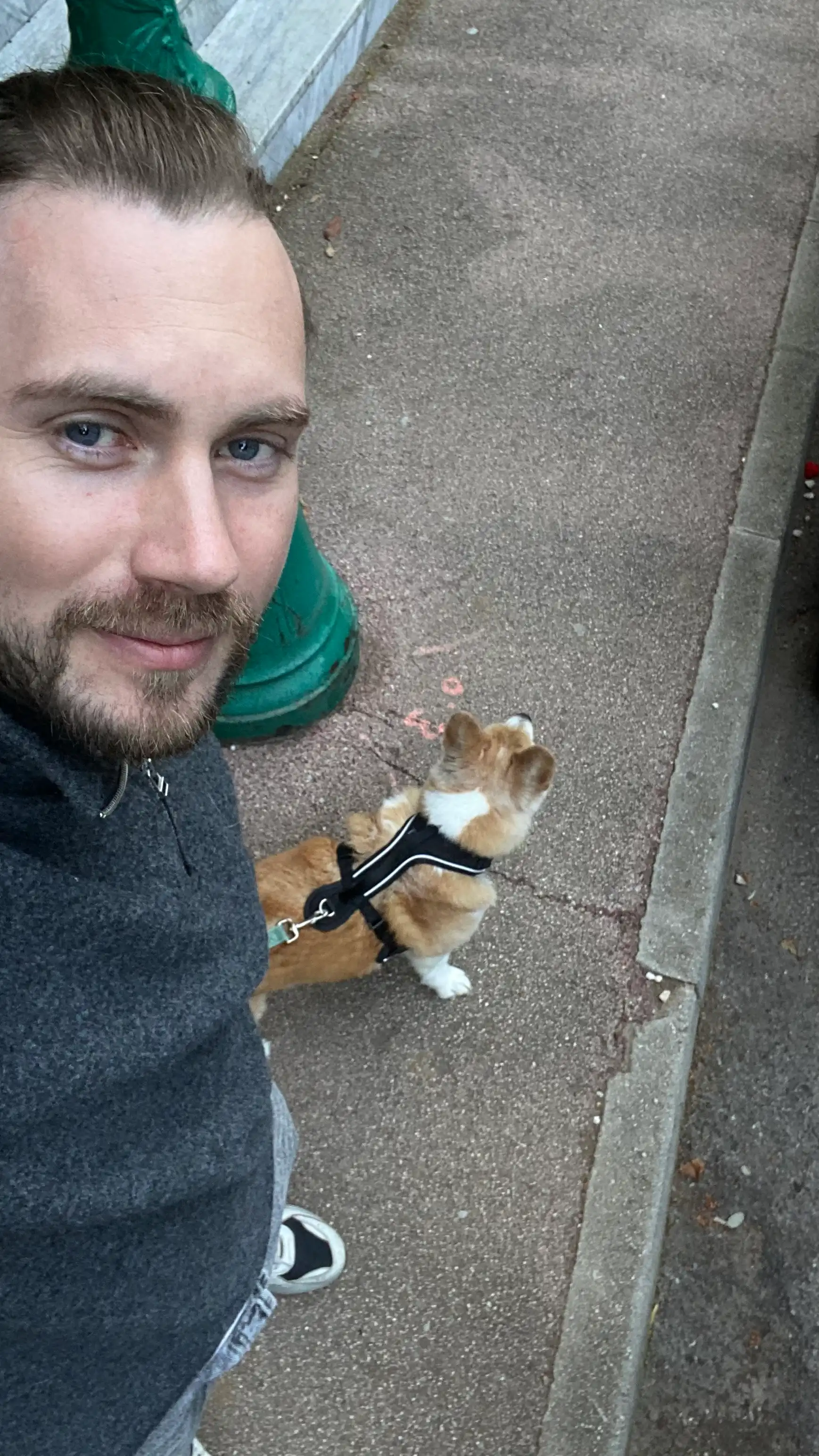 image-8