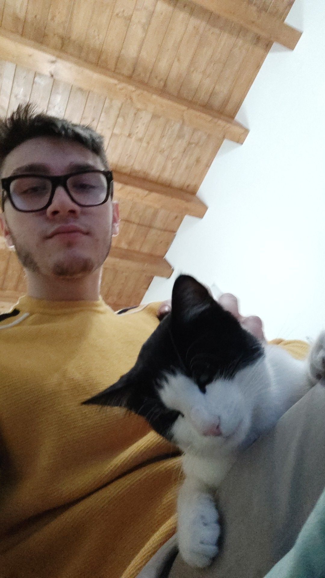 image-7