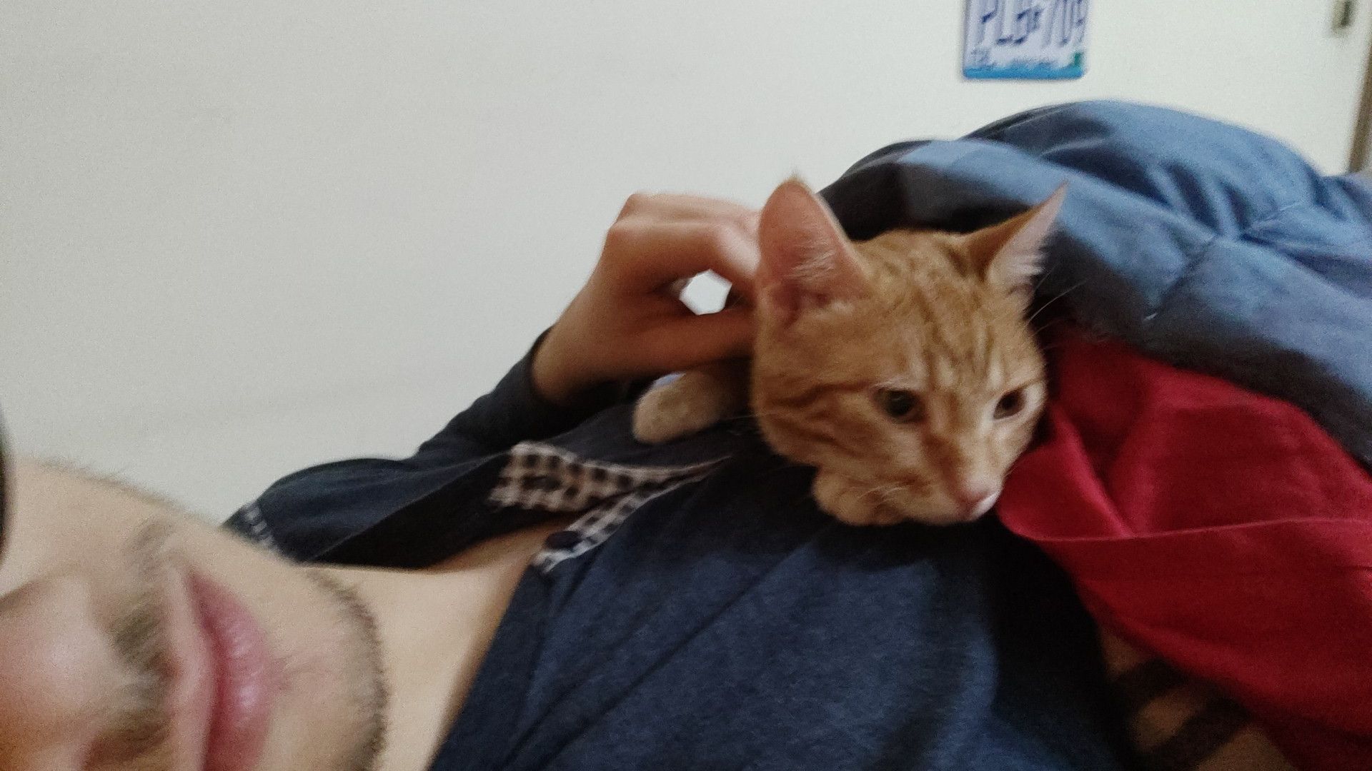 image-8