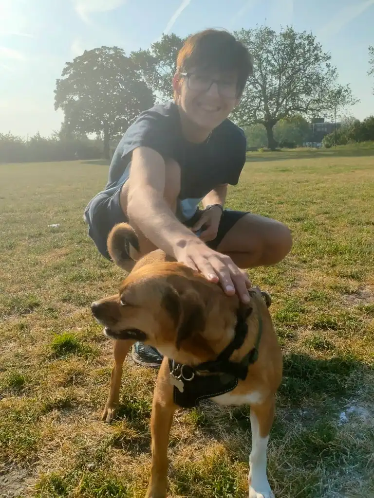 image-7