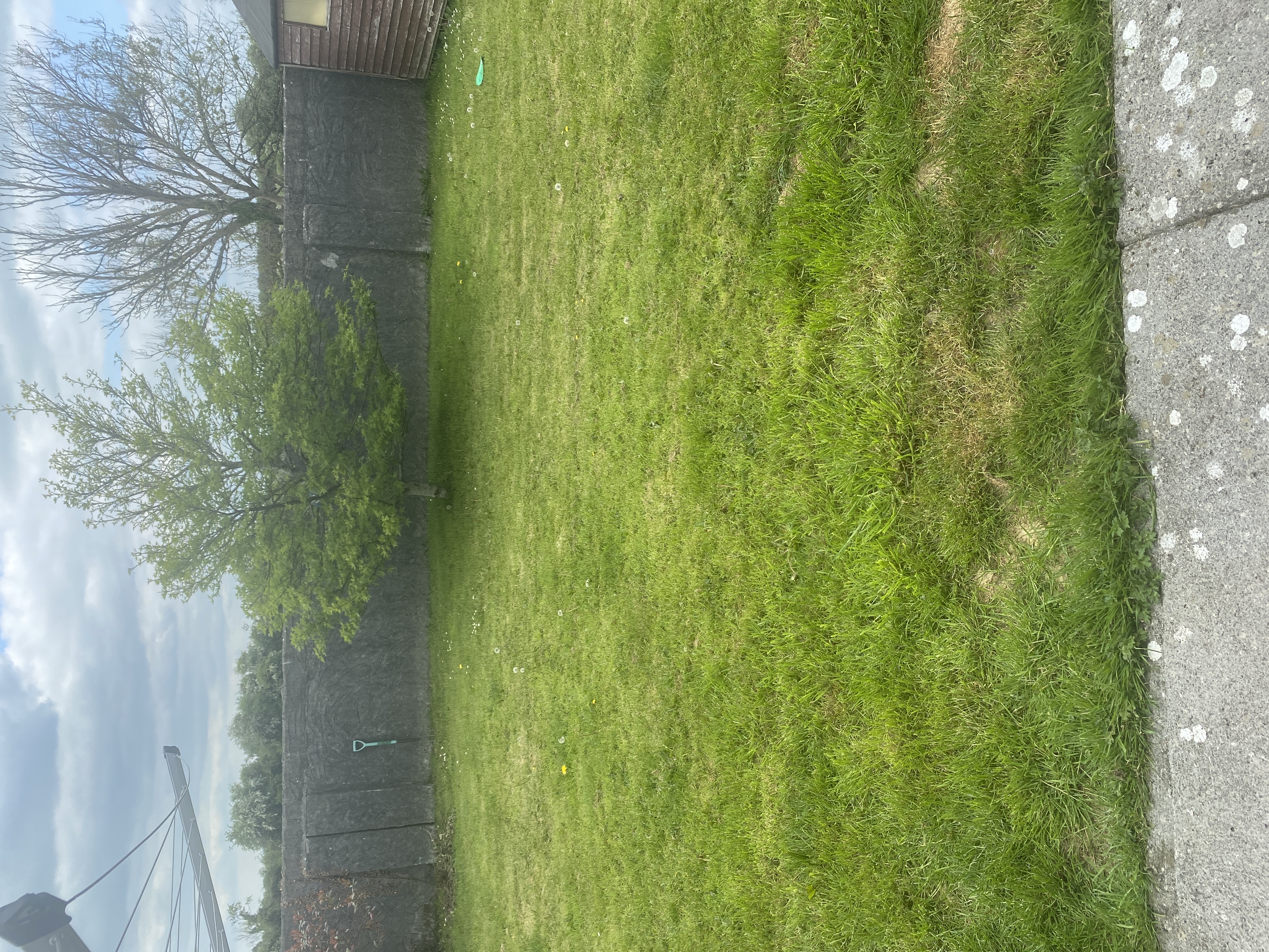 image-17