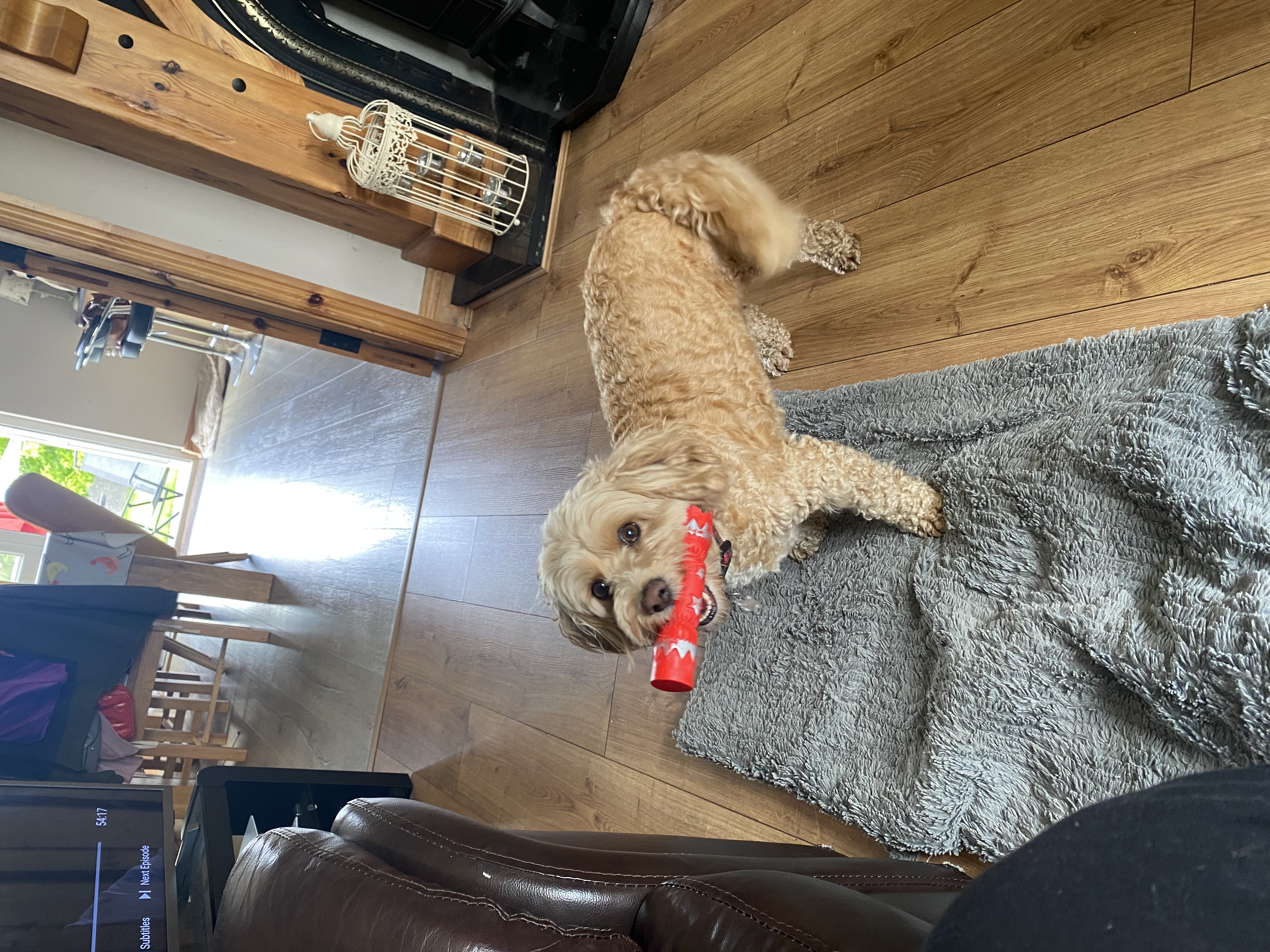 image-10